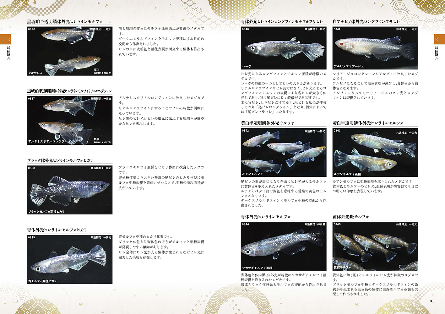 サムネイル画像1