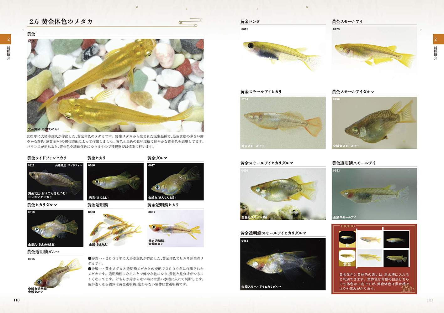 サムネイル画像2