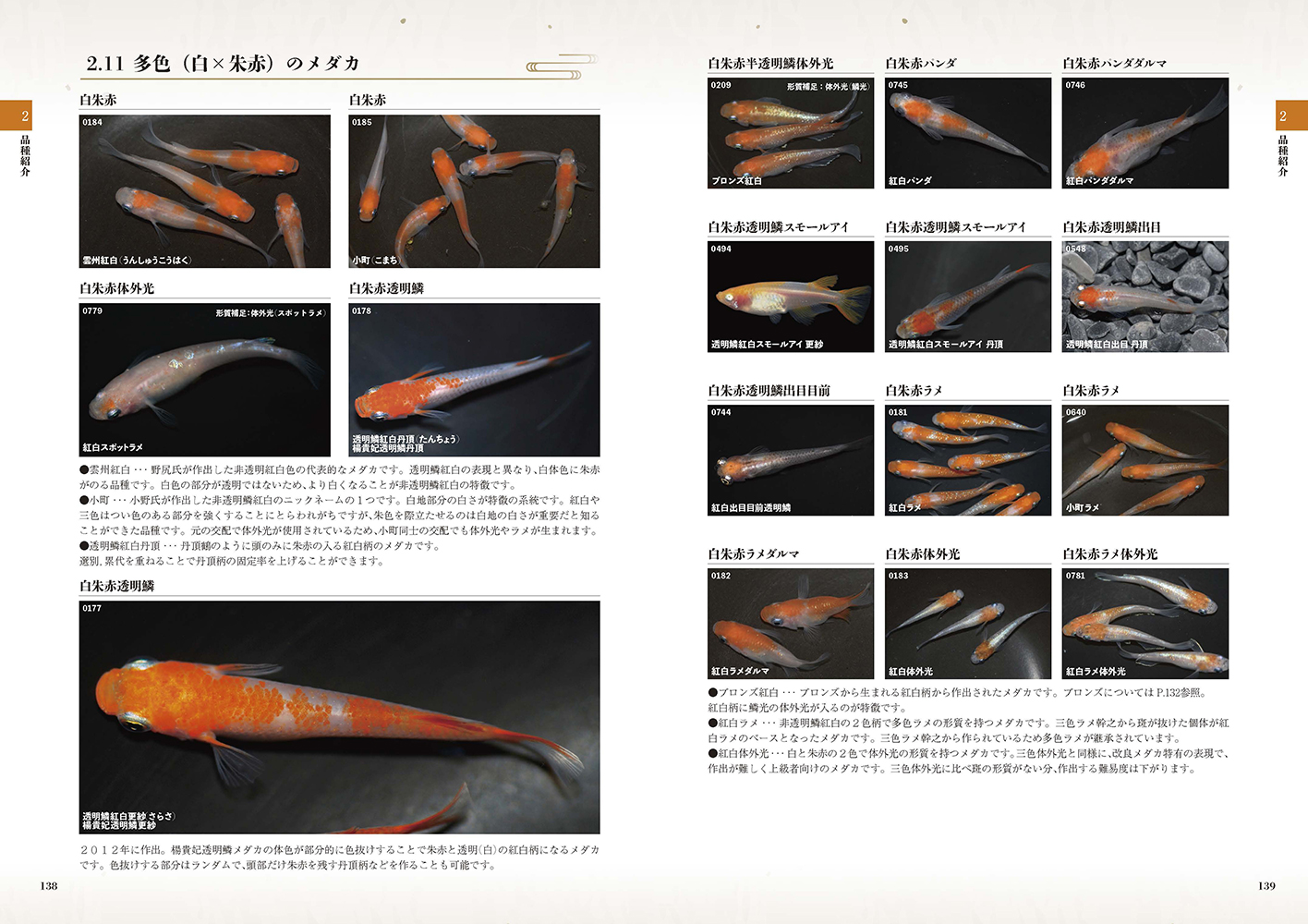 サムネイル画像3