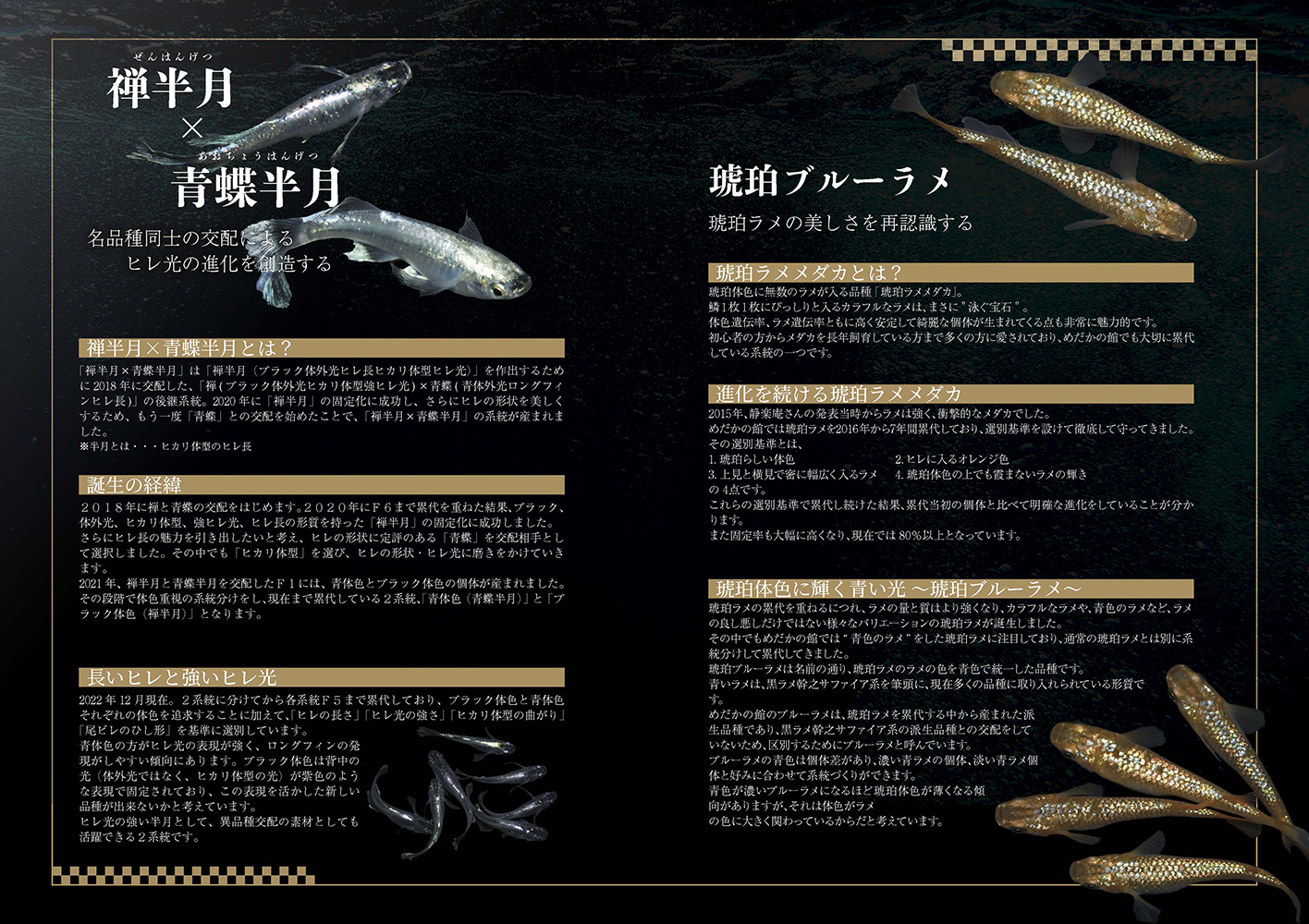 サムネイル画像4