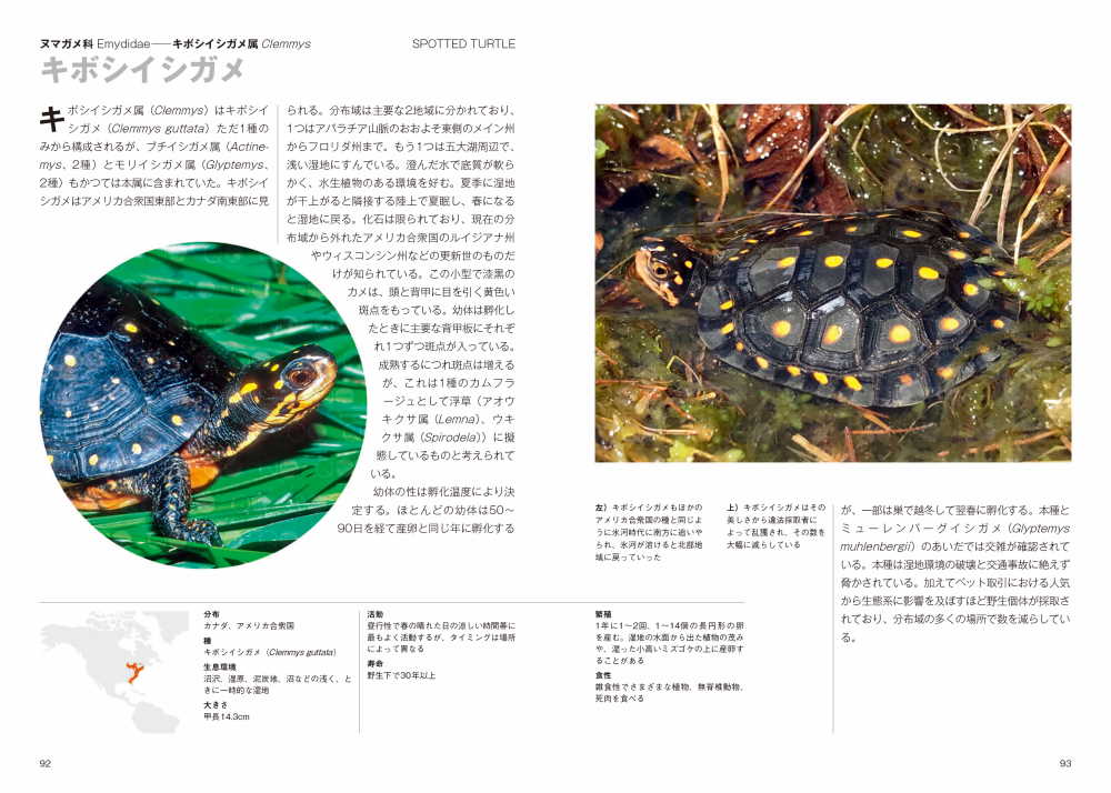サムネイル画像3