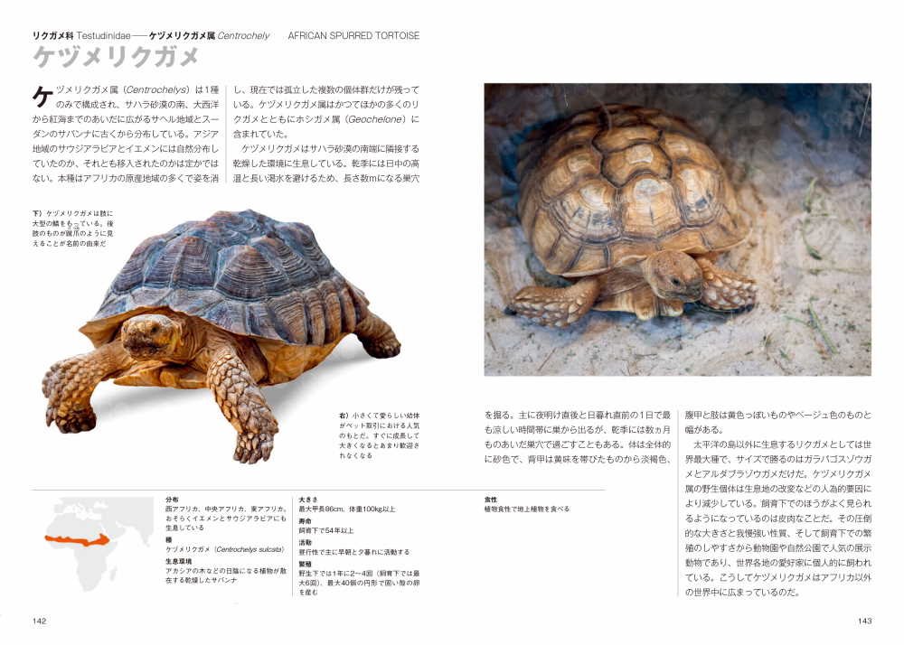 サムネイル画像5