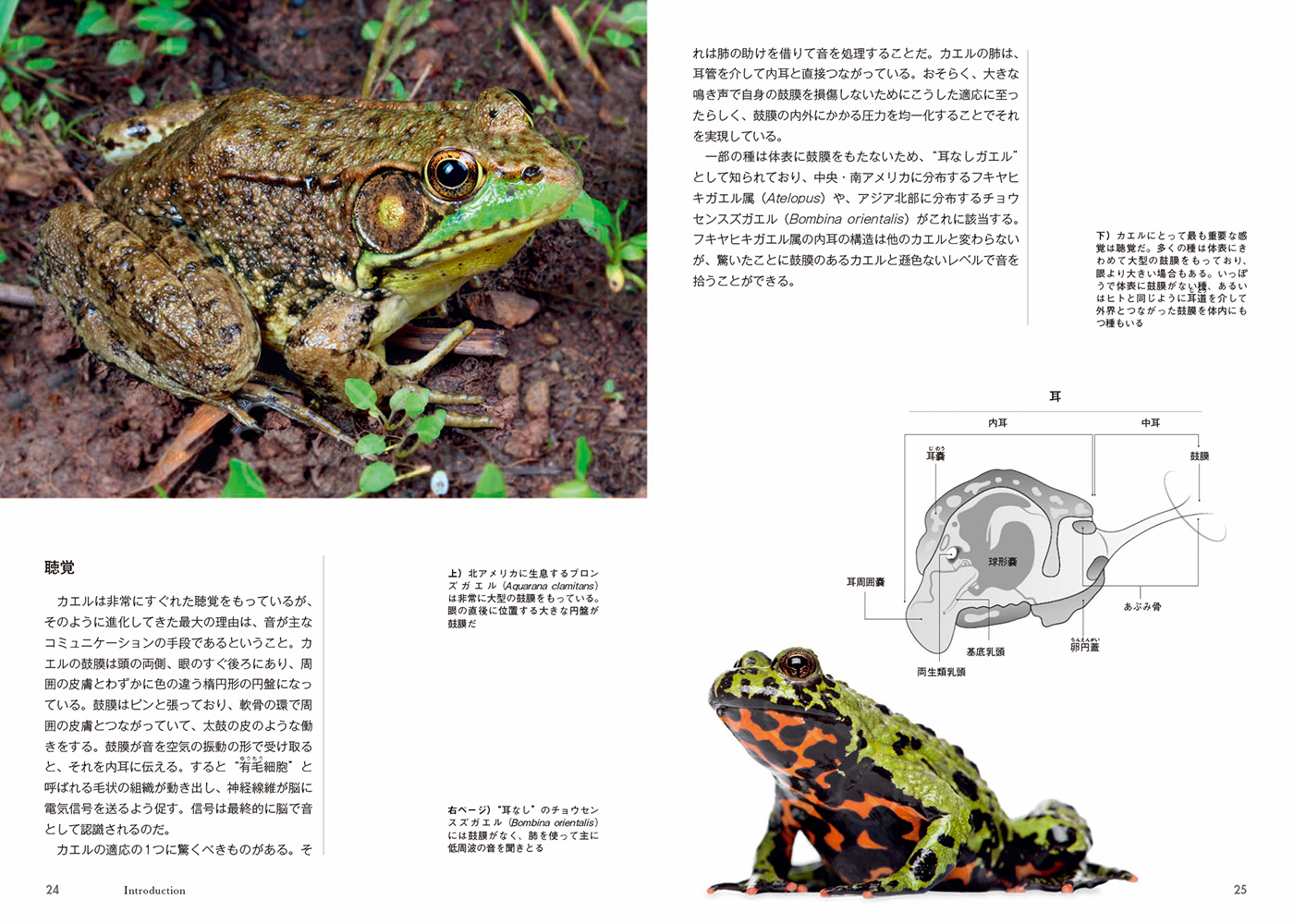 サムネイル画像2