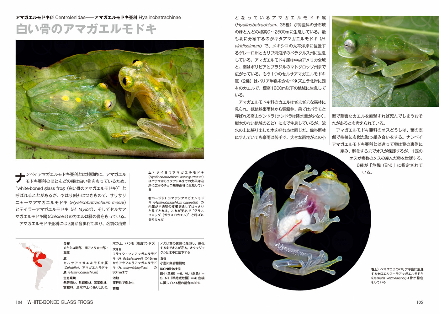 サムネイル画像5