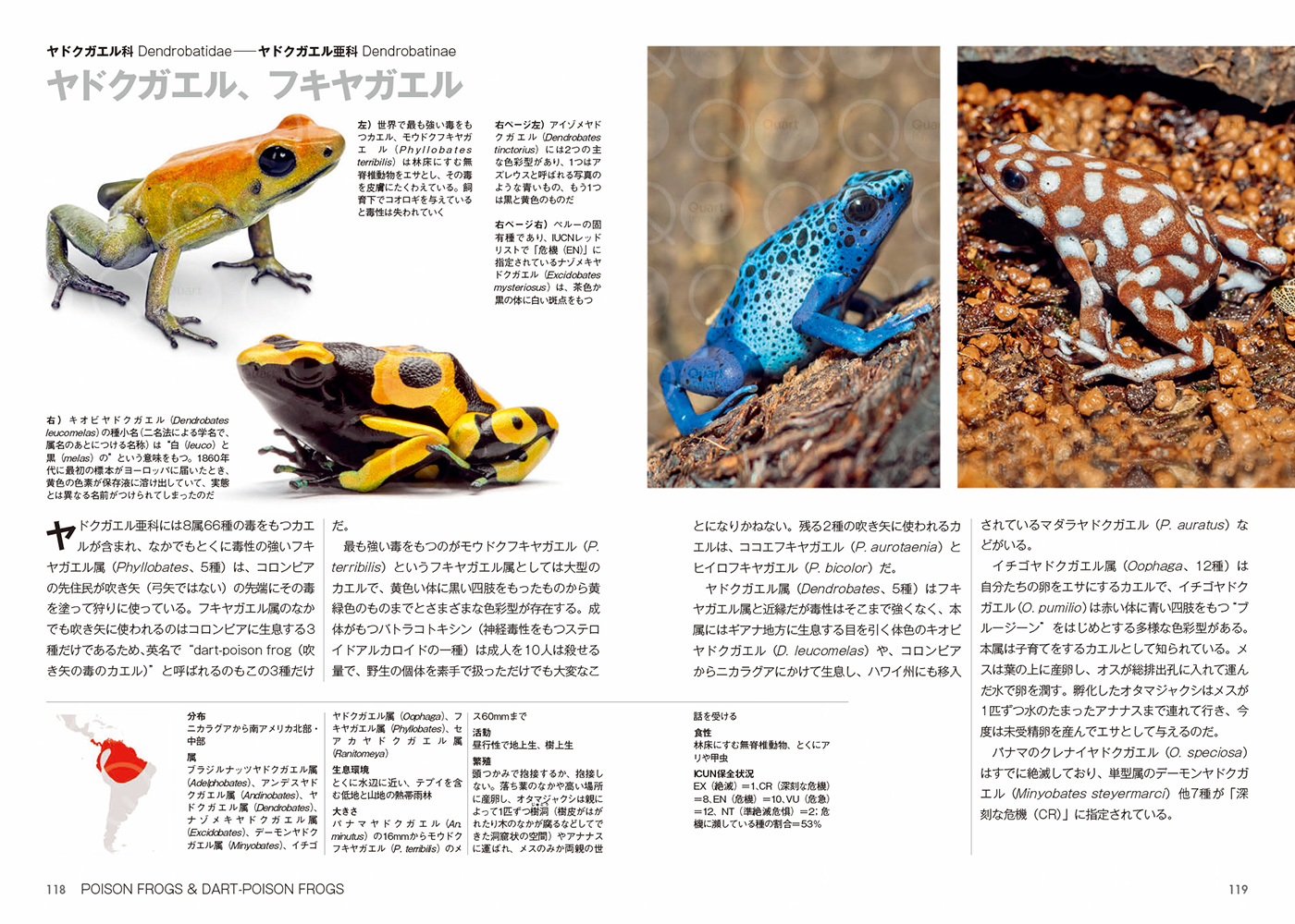 サムネイル画像6