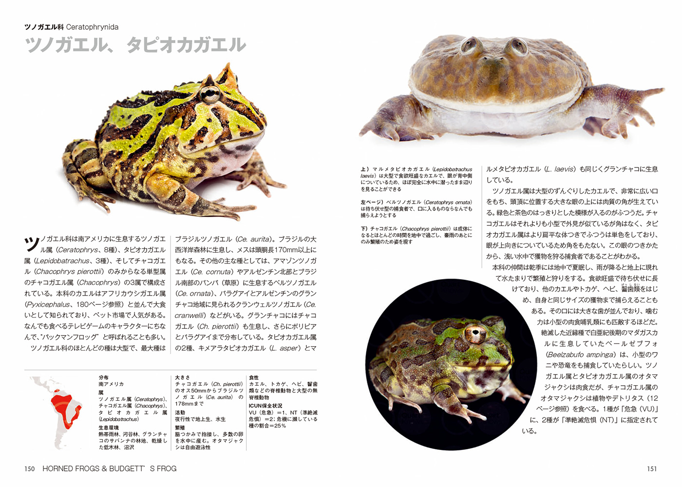 サムネイル画像7