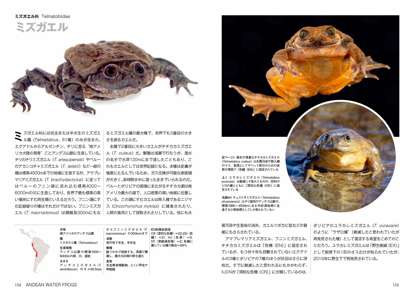 サムネイル画像8