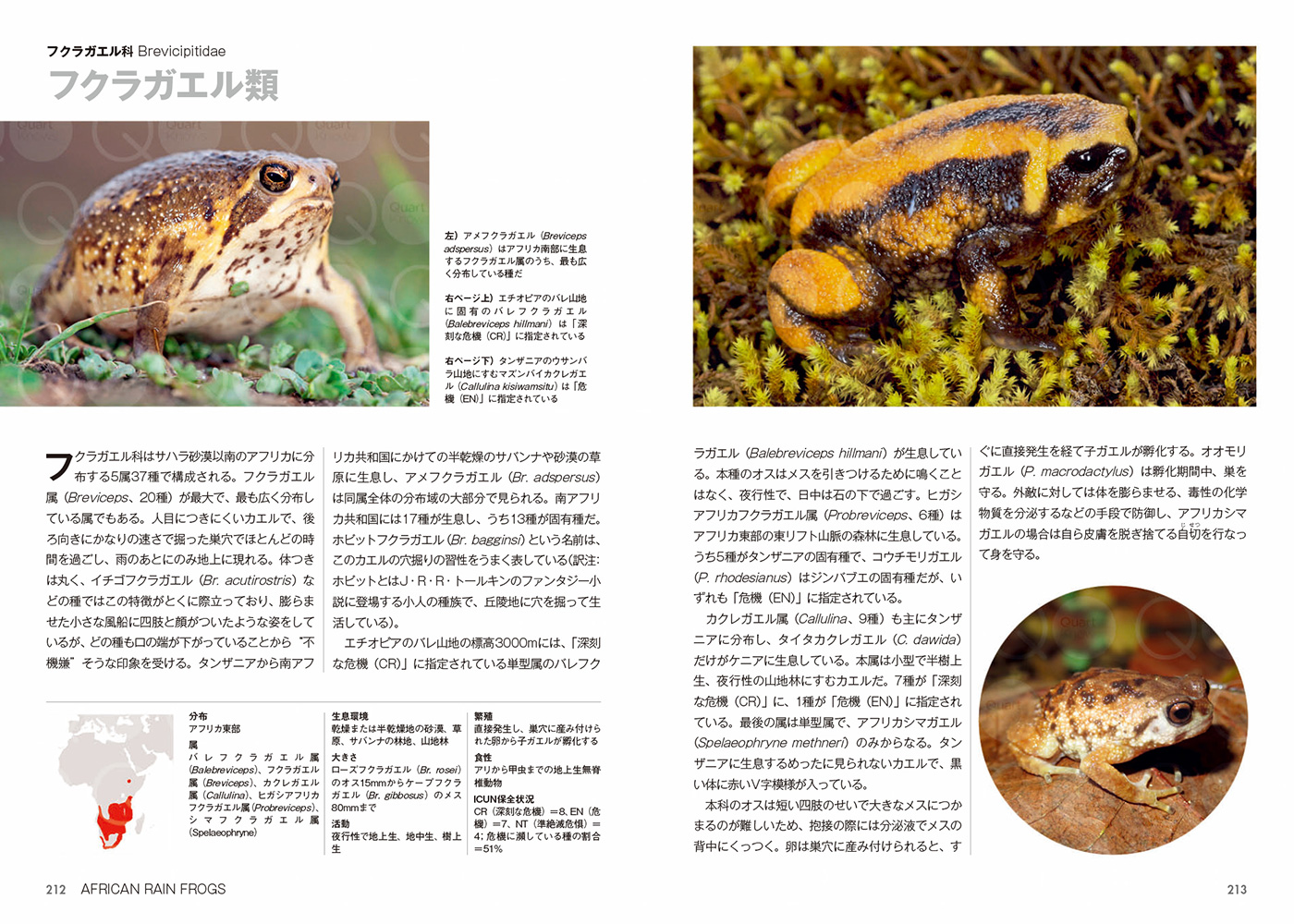 サムネイル画像9