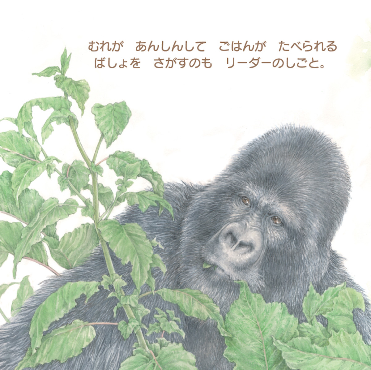 サムネイル画像3