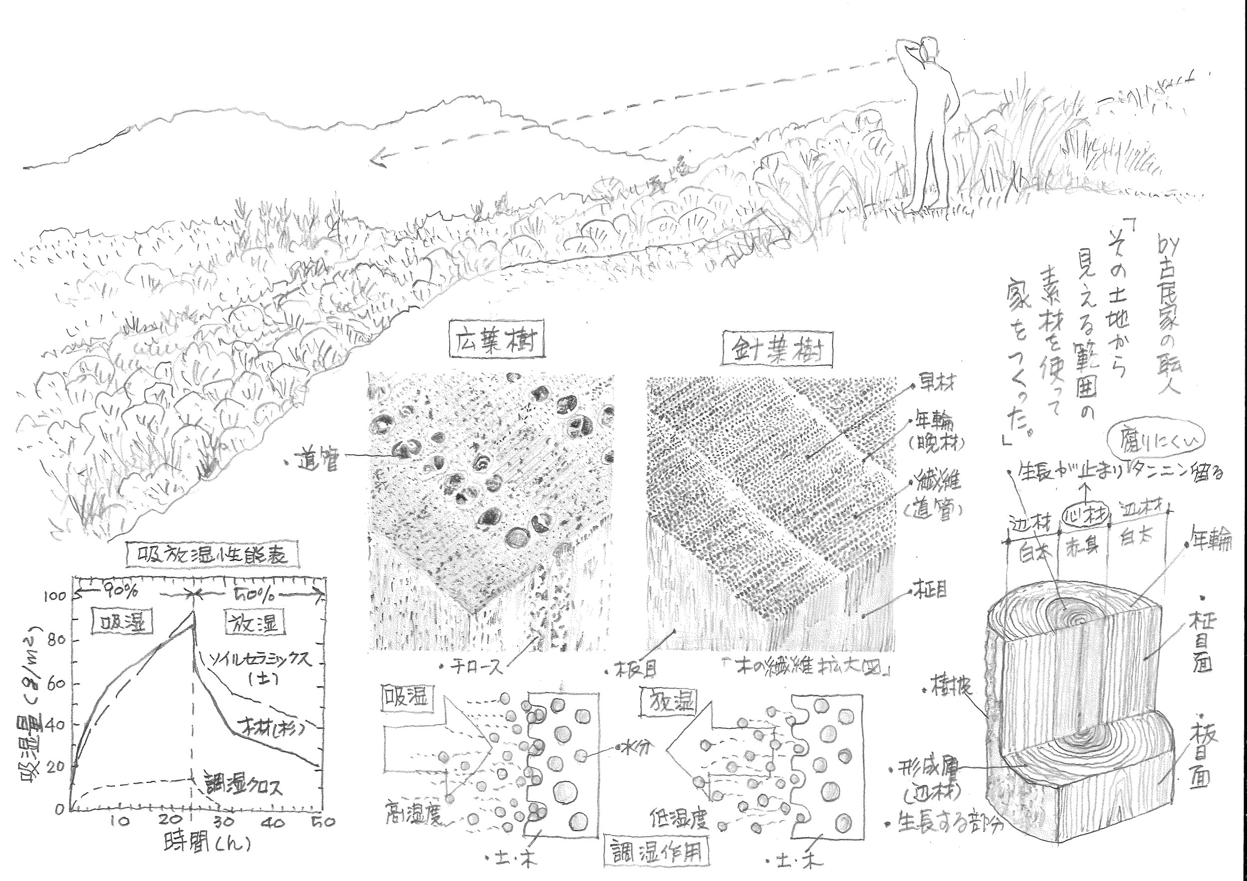サムネイル画像1