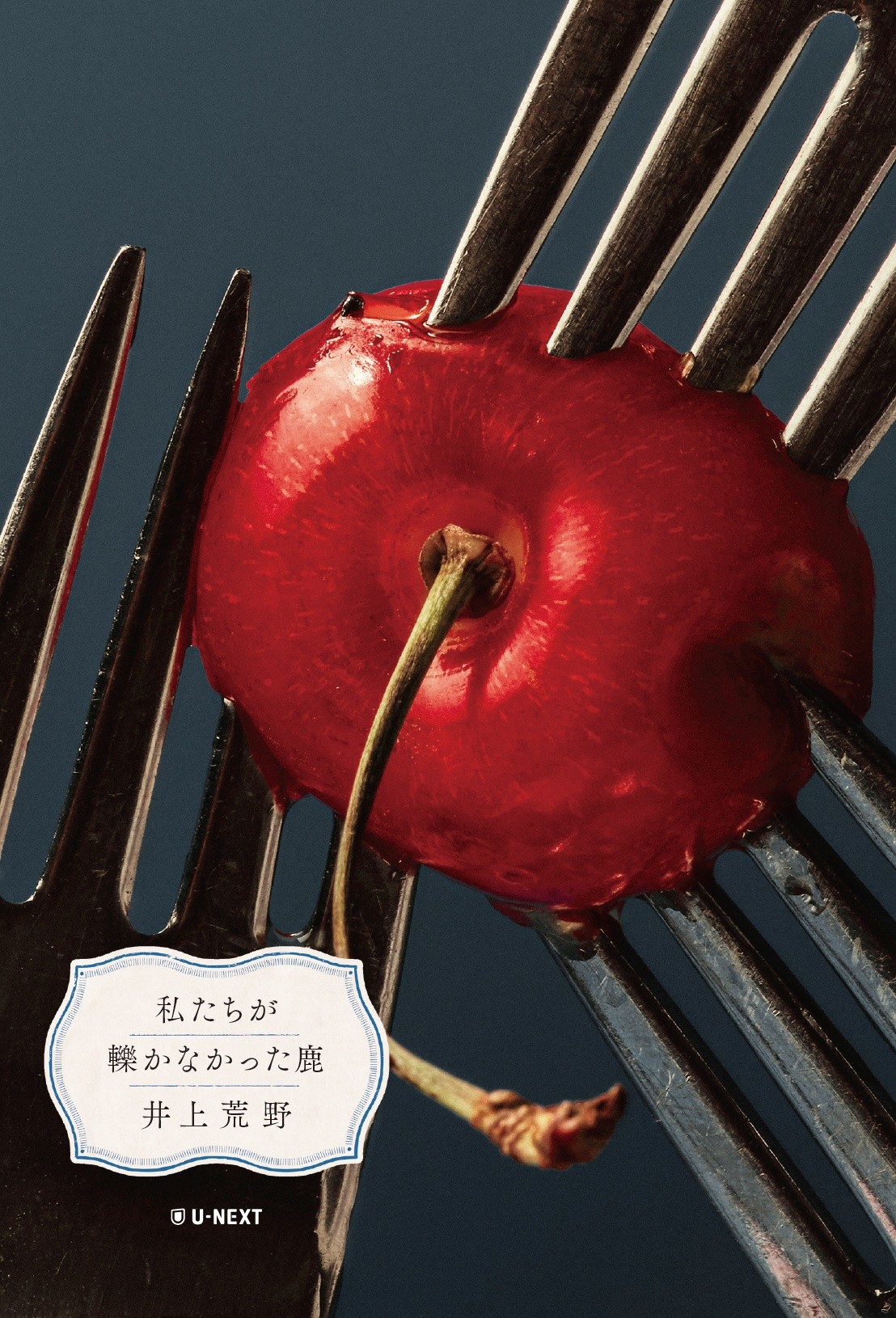 メイン画像