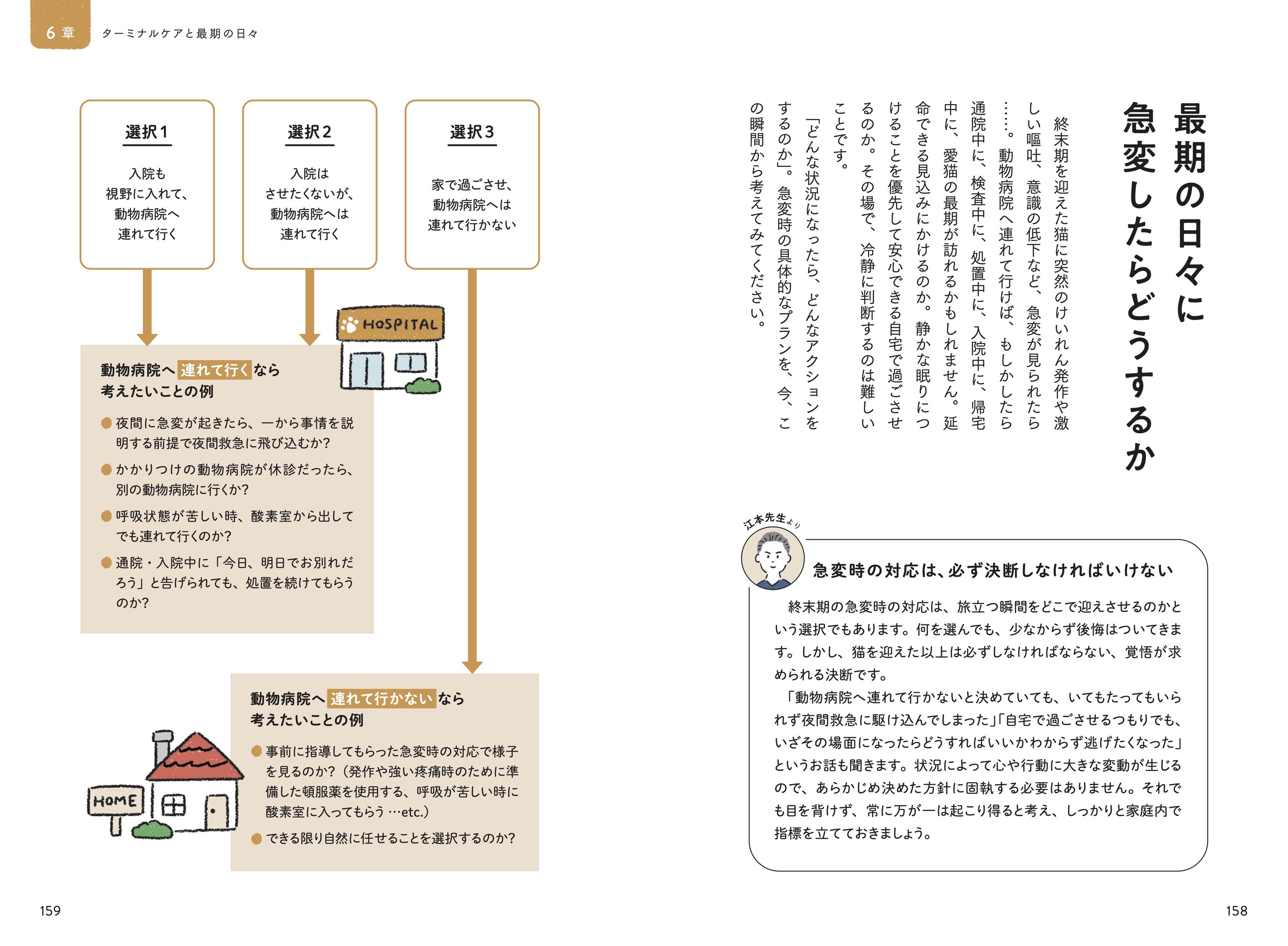 サムネイル画像5