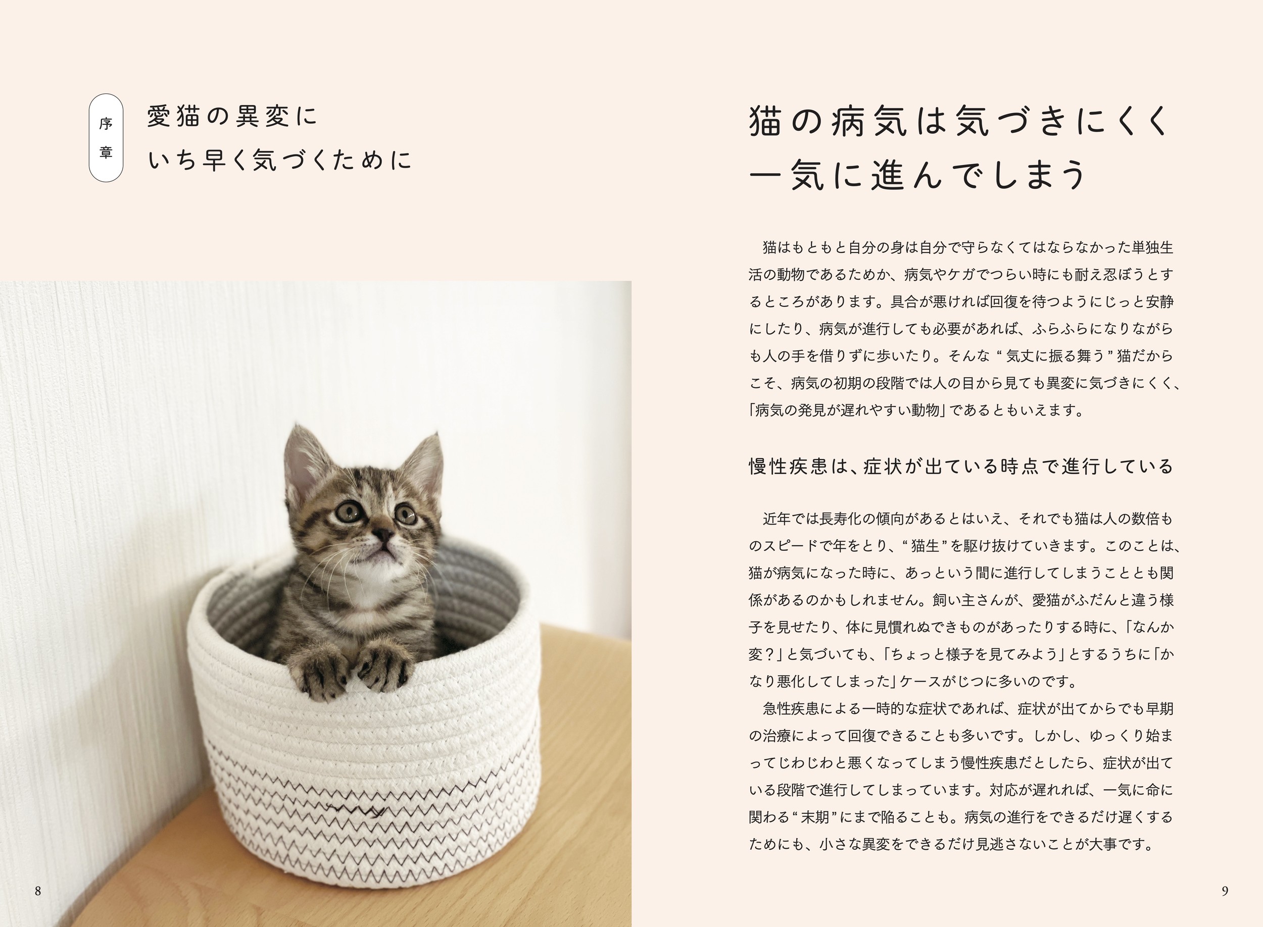 サムネイル画像2