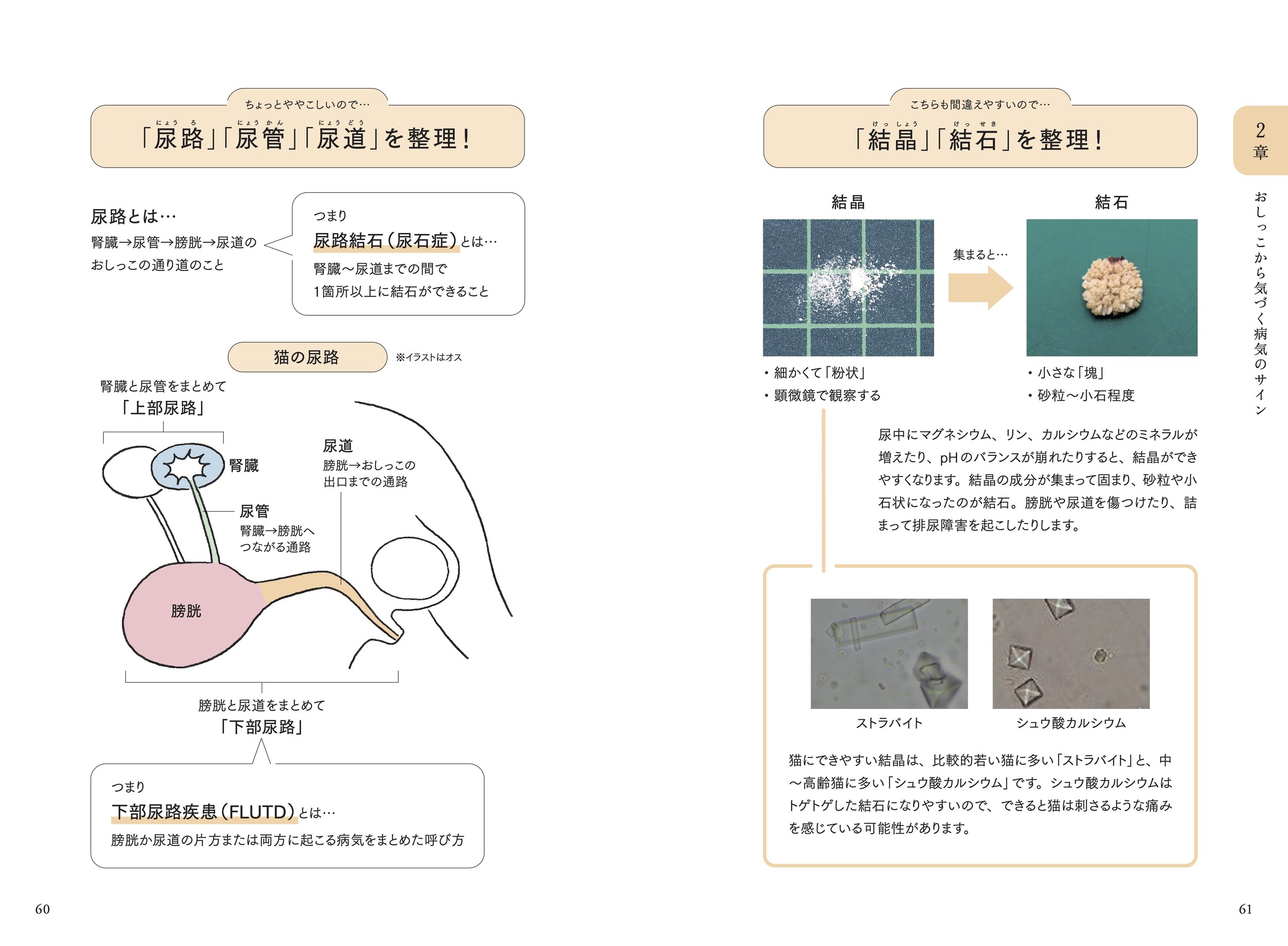 サムネイル画像5