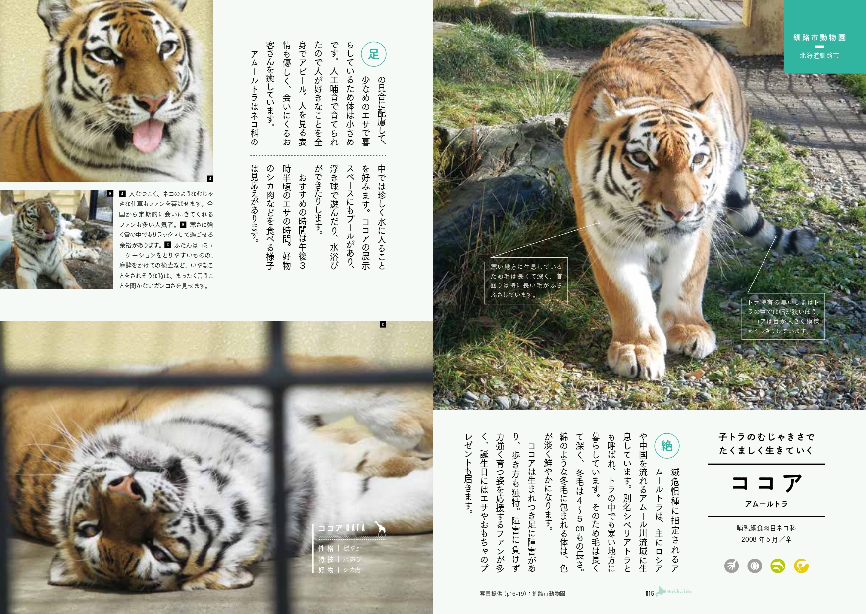 サムネイル画像4