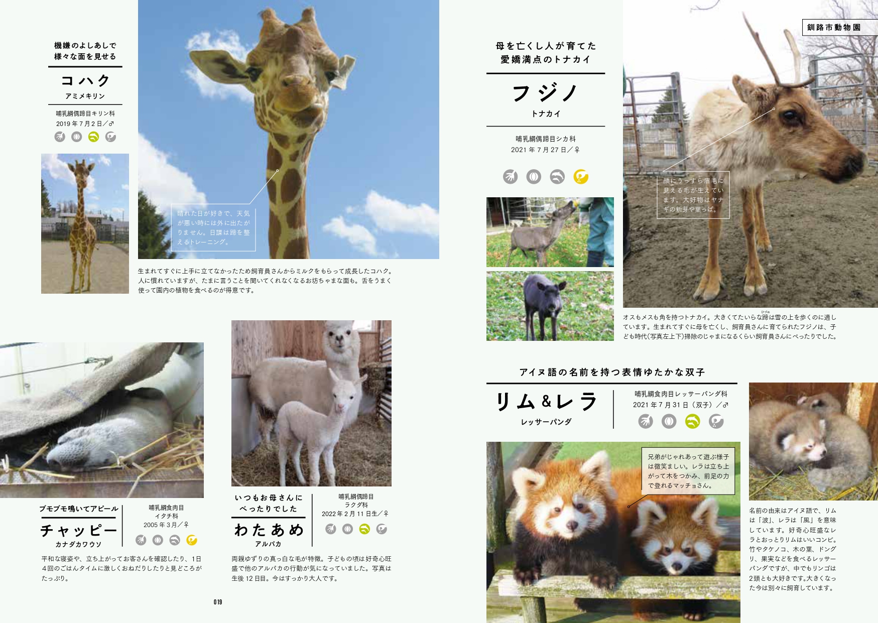 サムネイル画像5