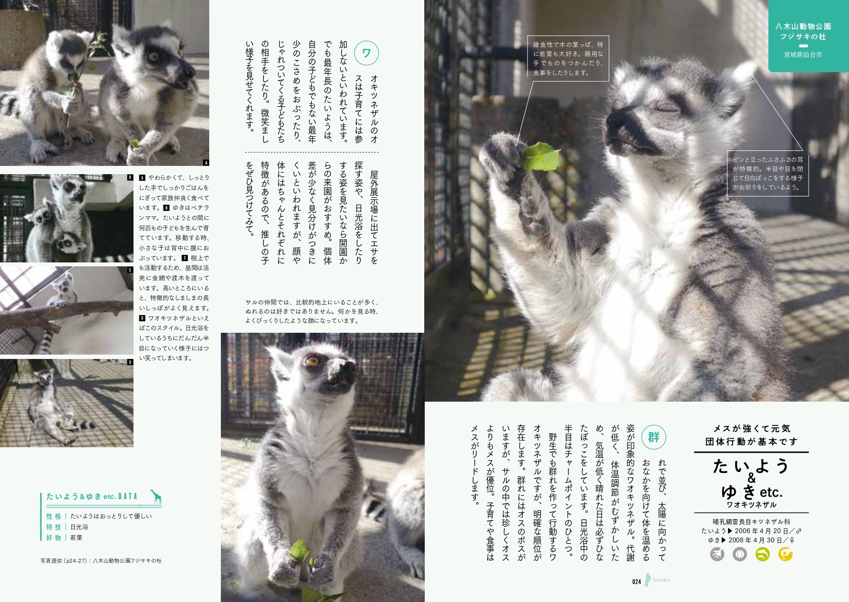 サムネイル画像6