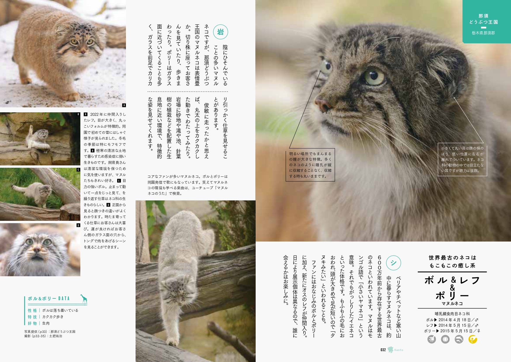 サムネイル画像7