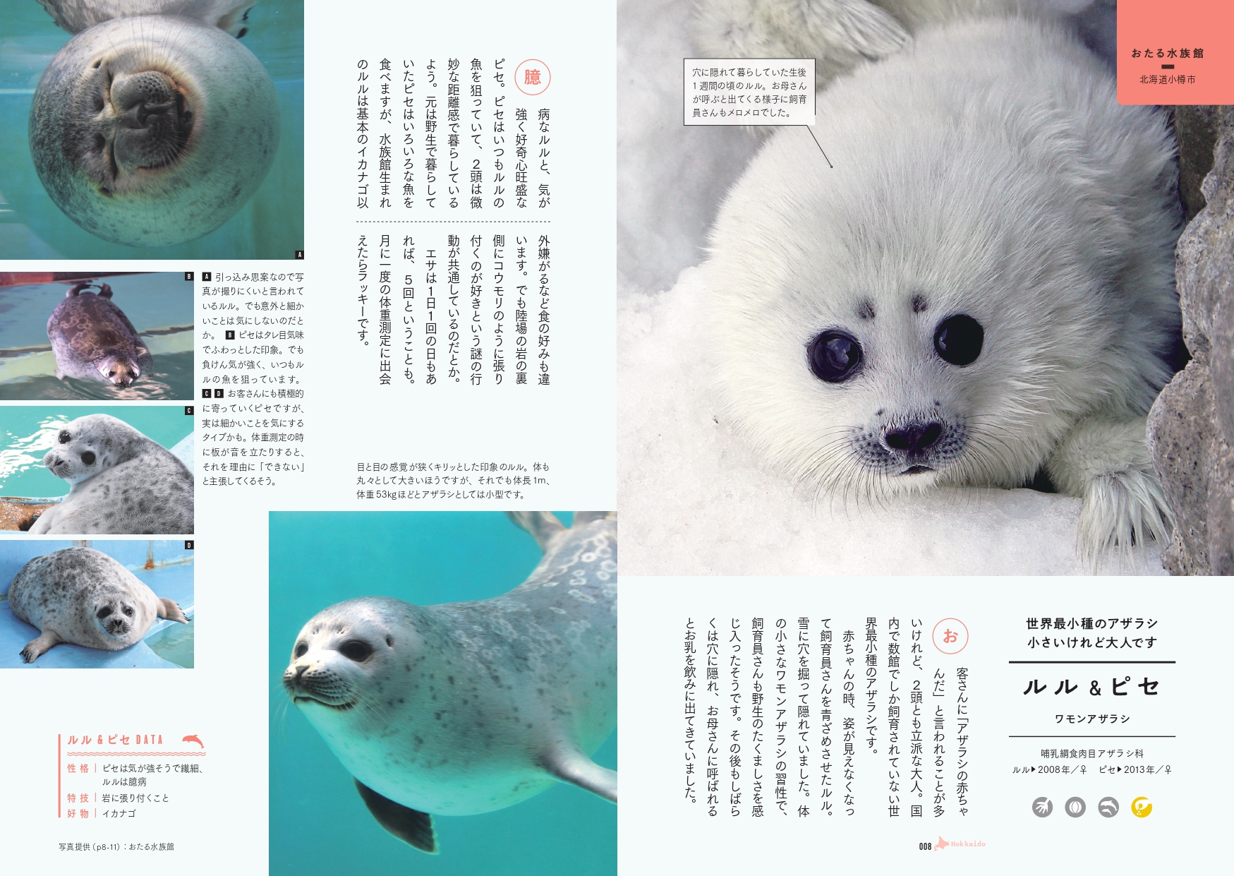 サムネイル画像4