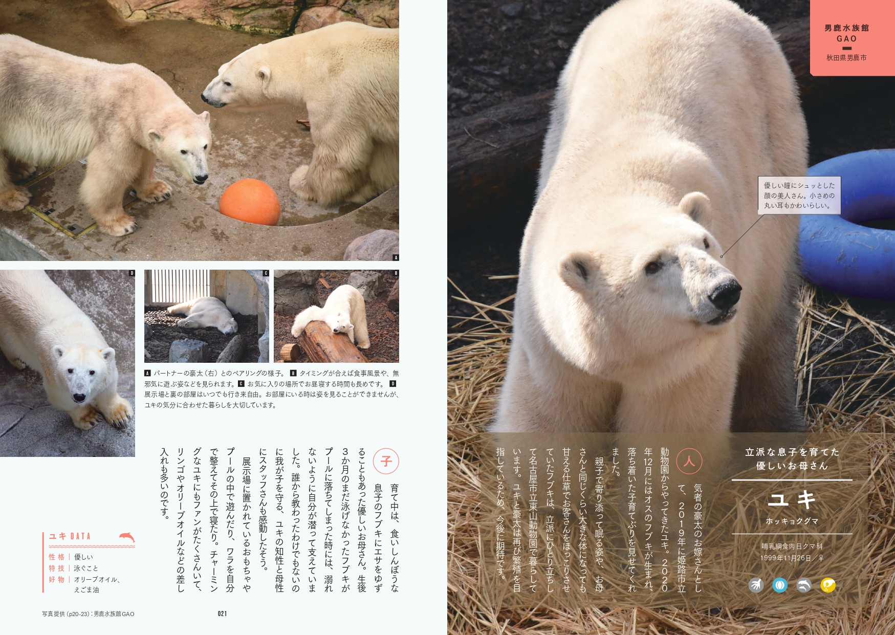 サムネイル画像5