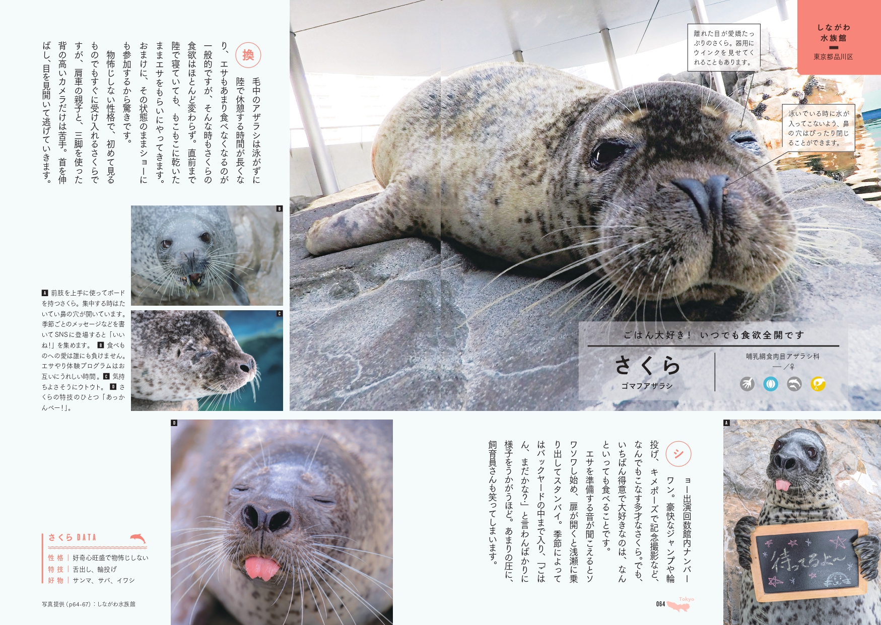 サムネイル画像6
