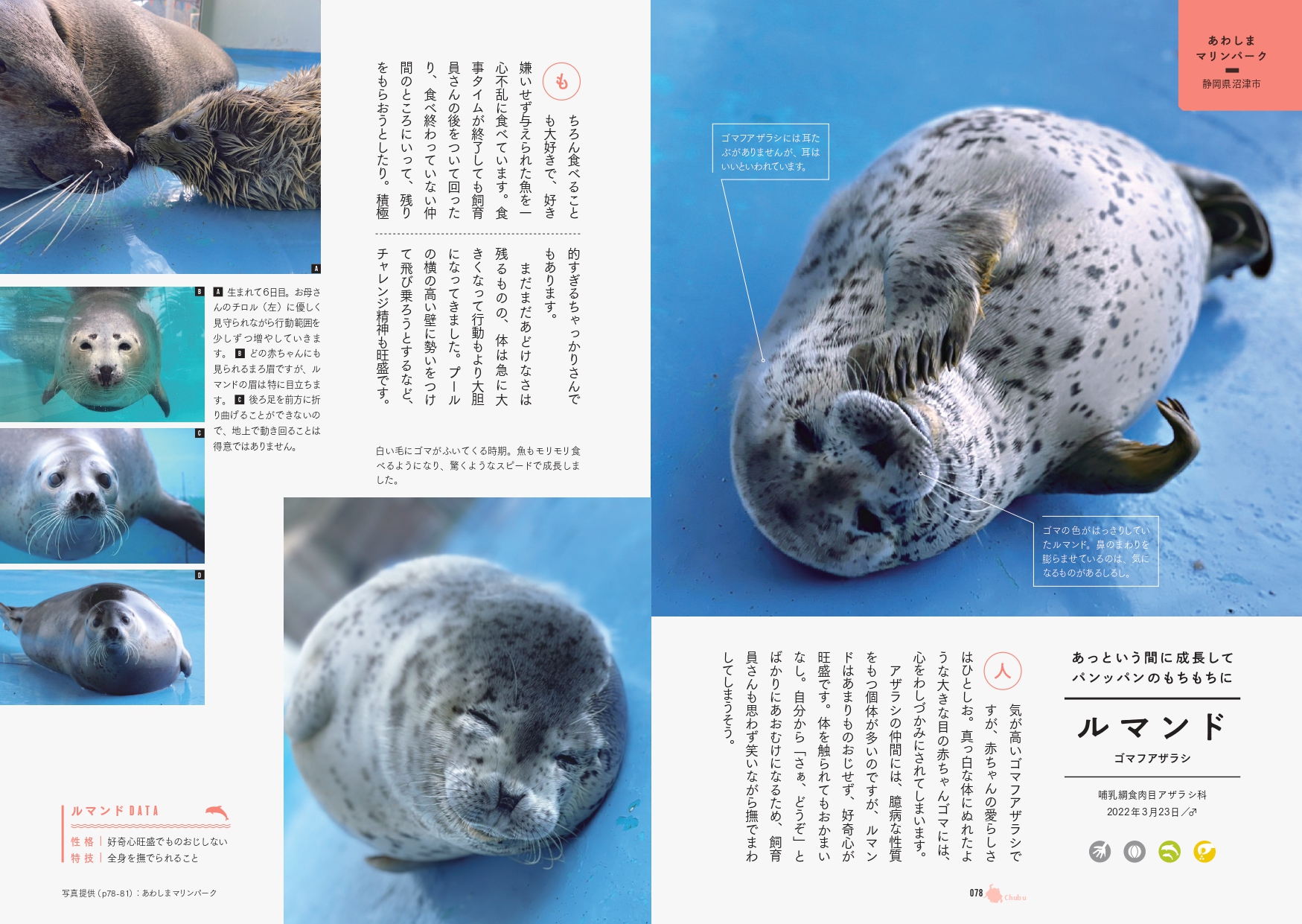 サムネイル画像7