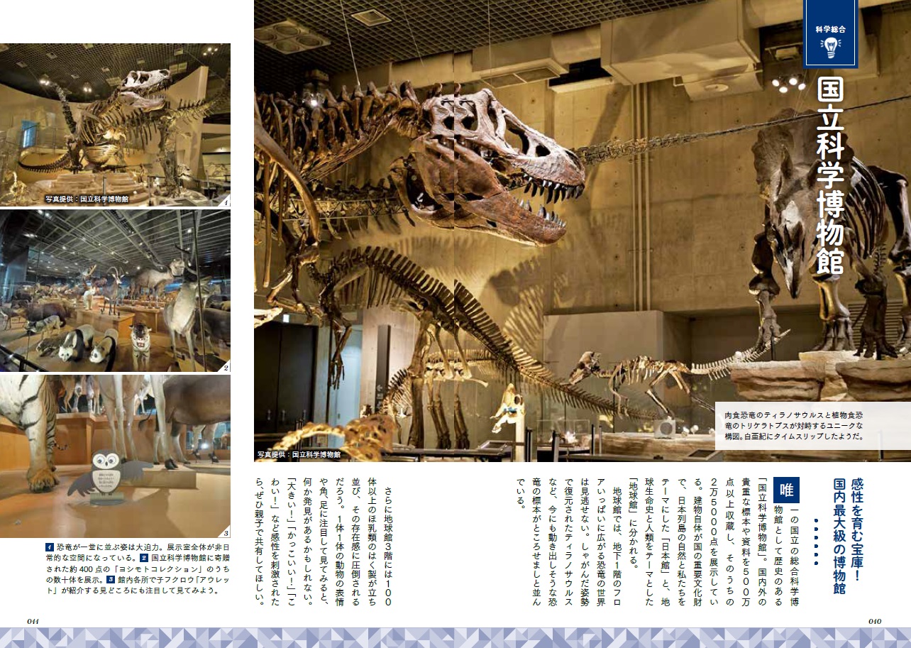 サムネイル画像5