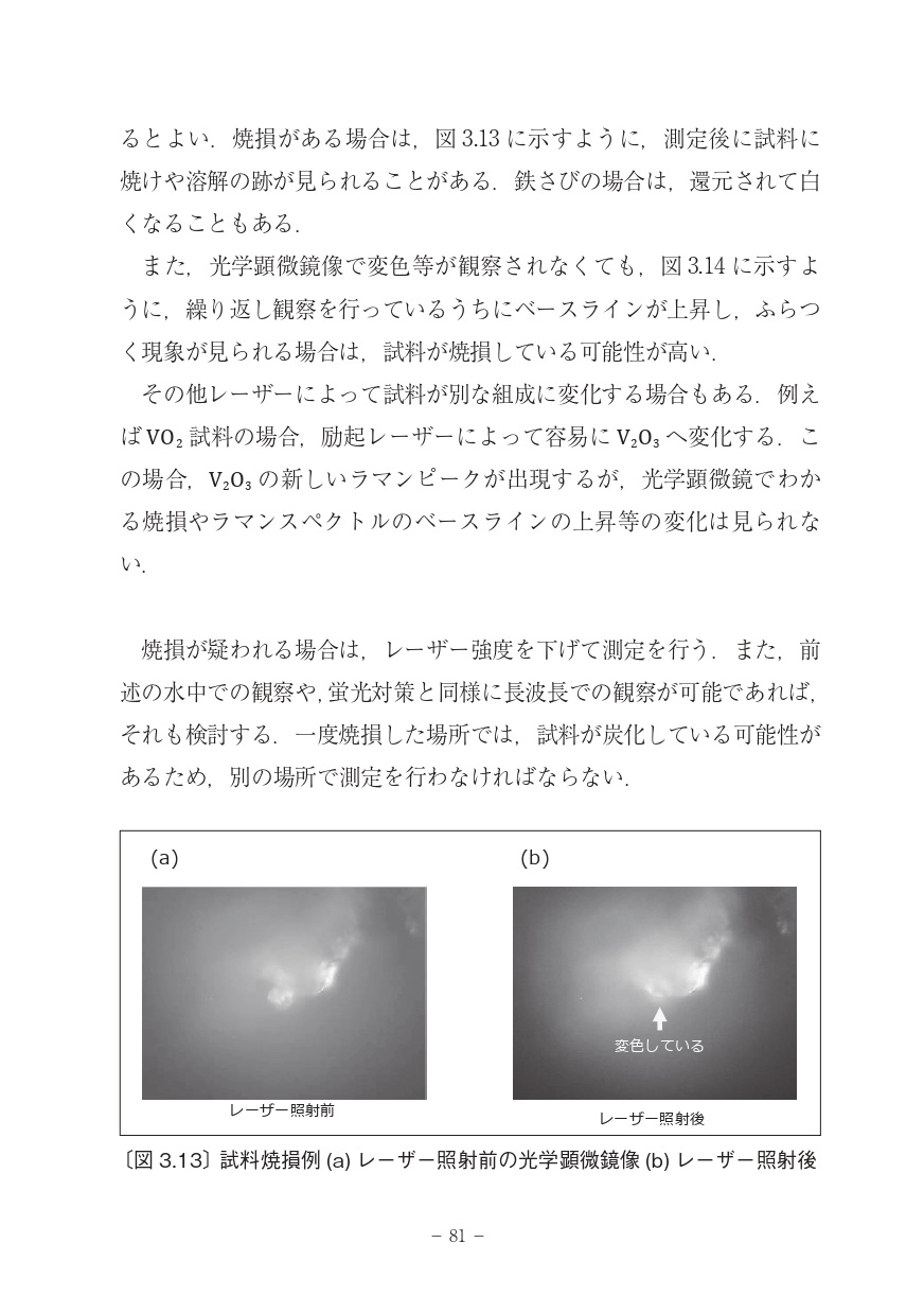 サムネイル画像5