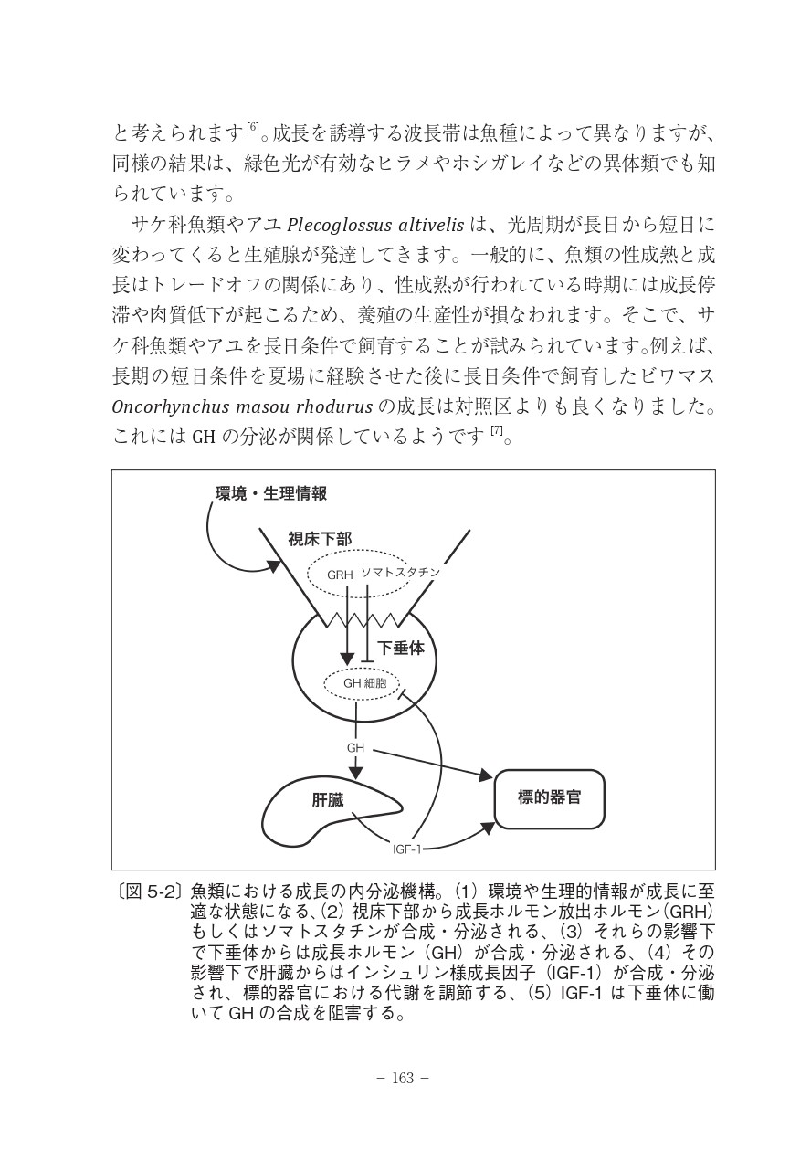 サムネイル画像6