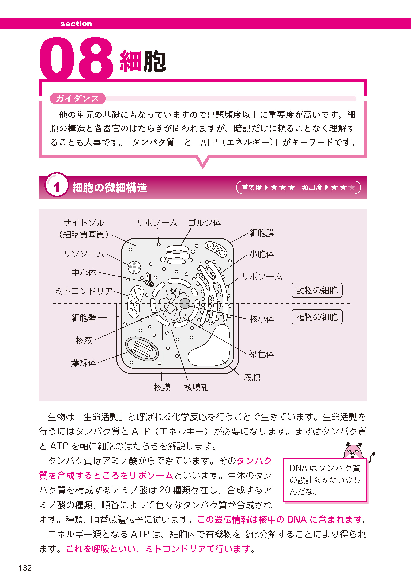 サムネイル画像9