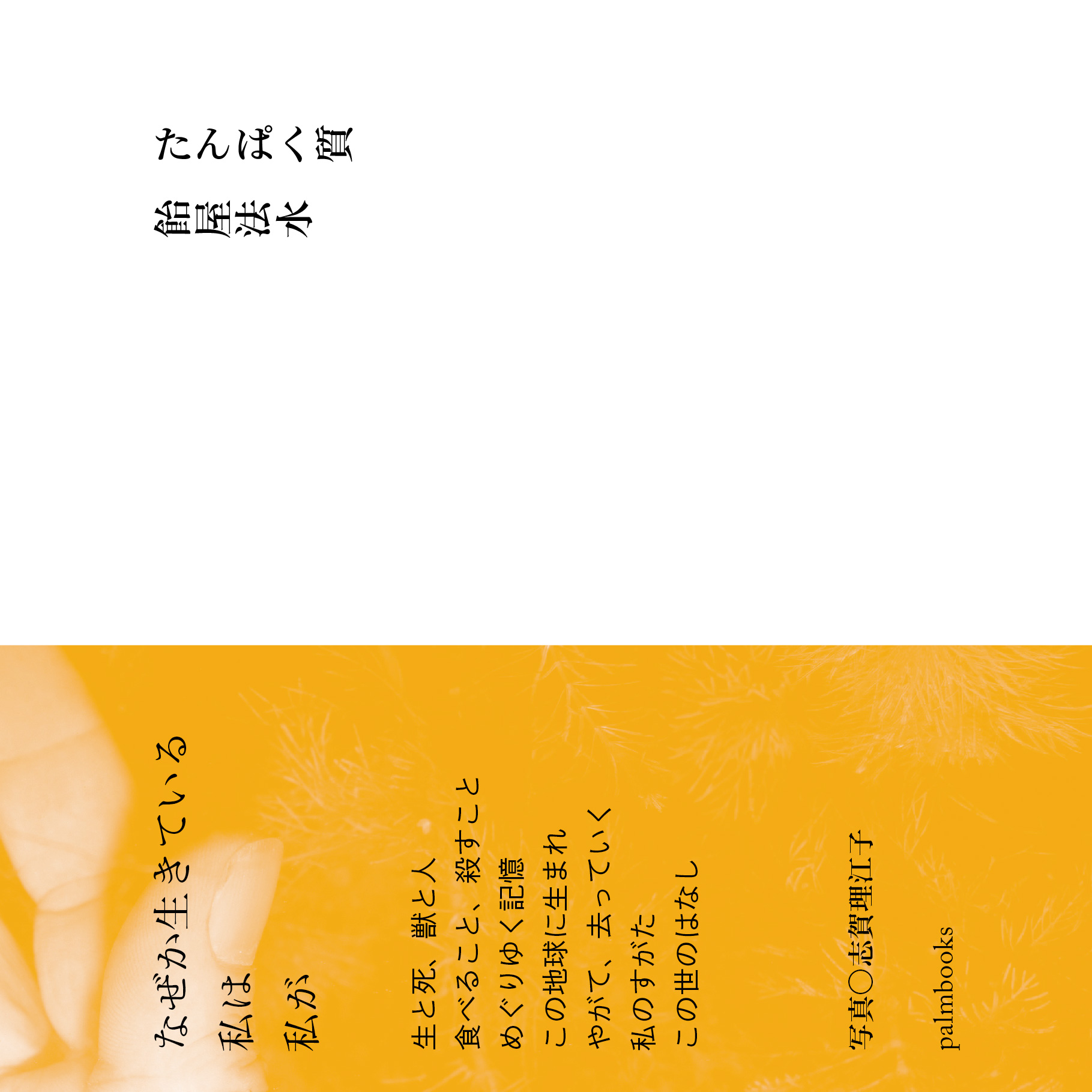 メイン画像