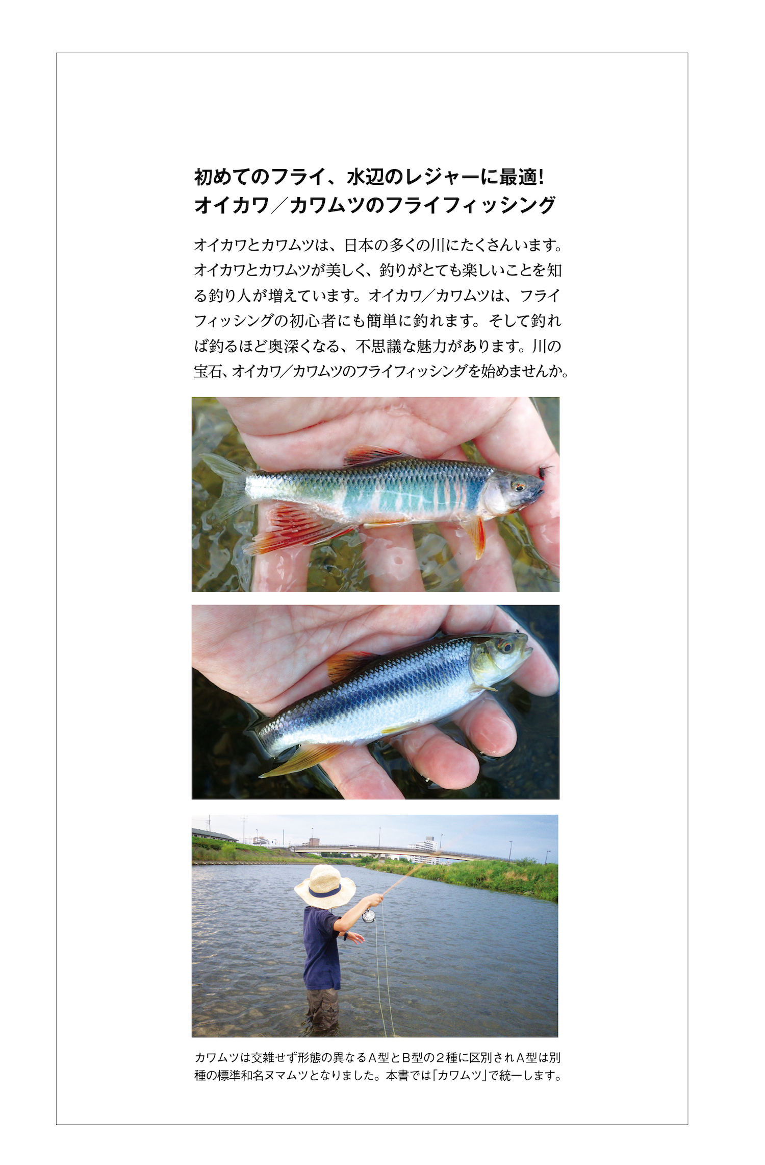 サムネイル画像2