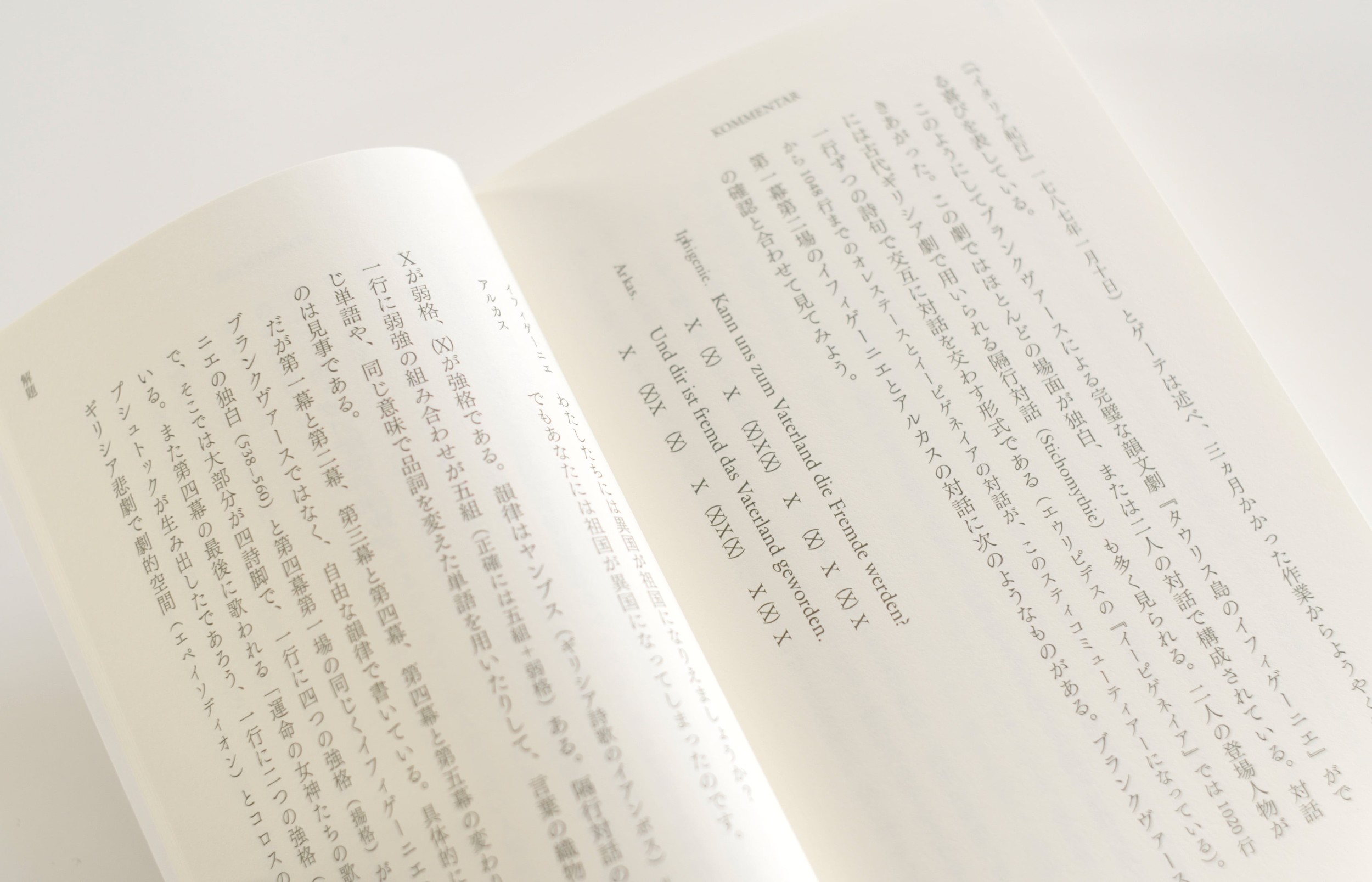 サムネイル画像5