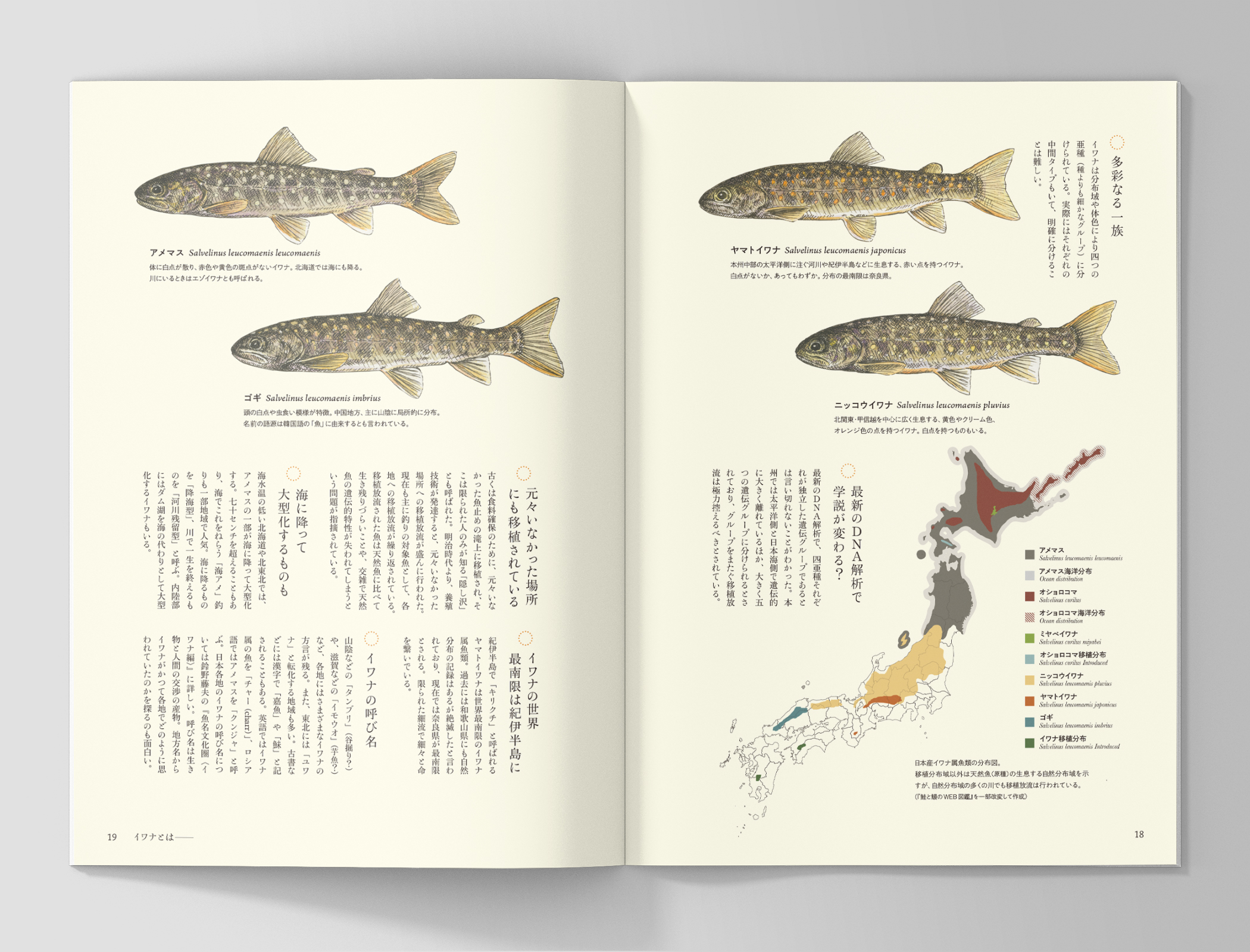 サムネイル画像3