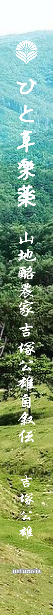 サムネイル画像2