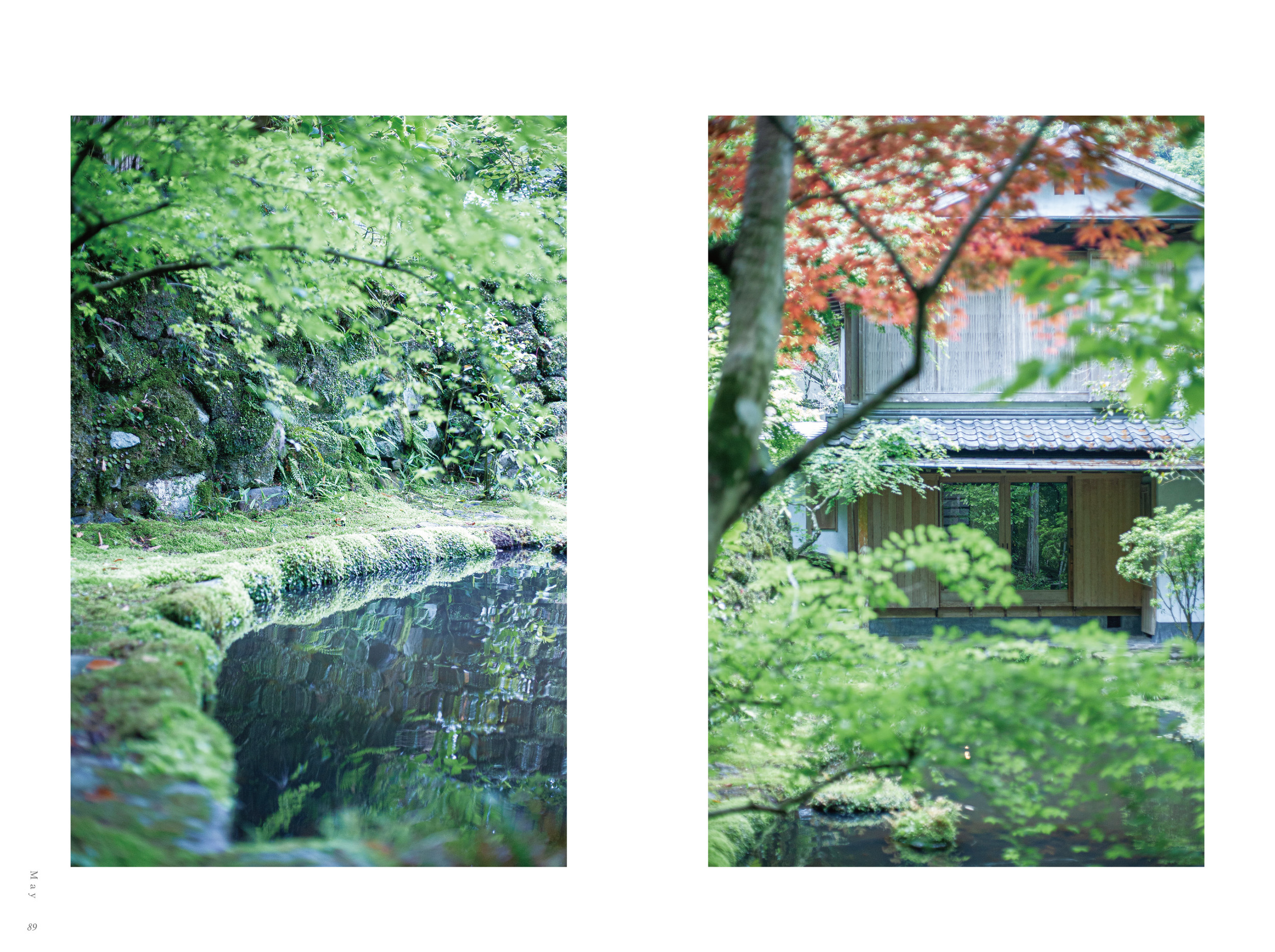 サムネイル画像4