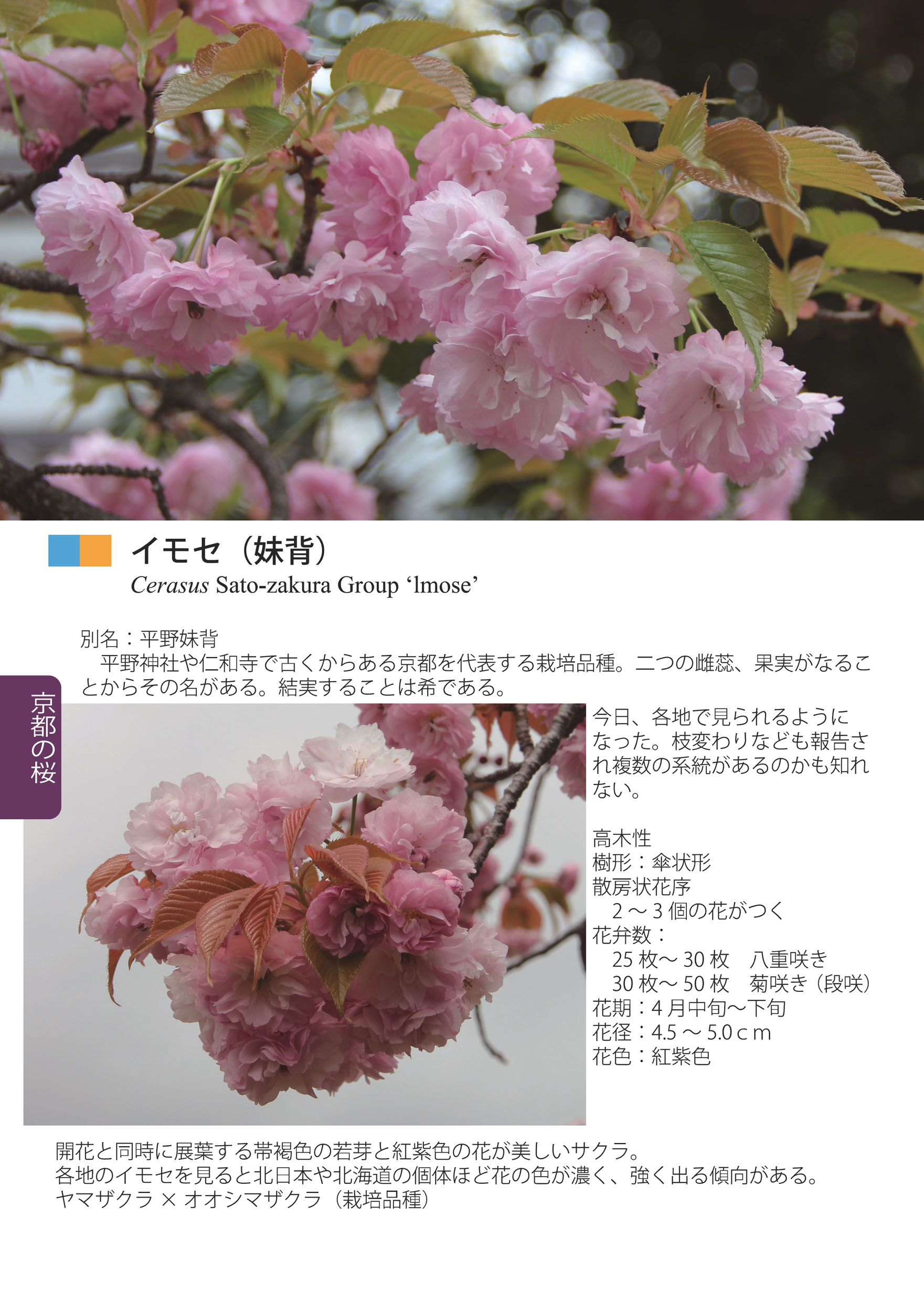 サムネイル画像3