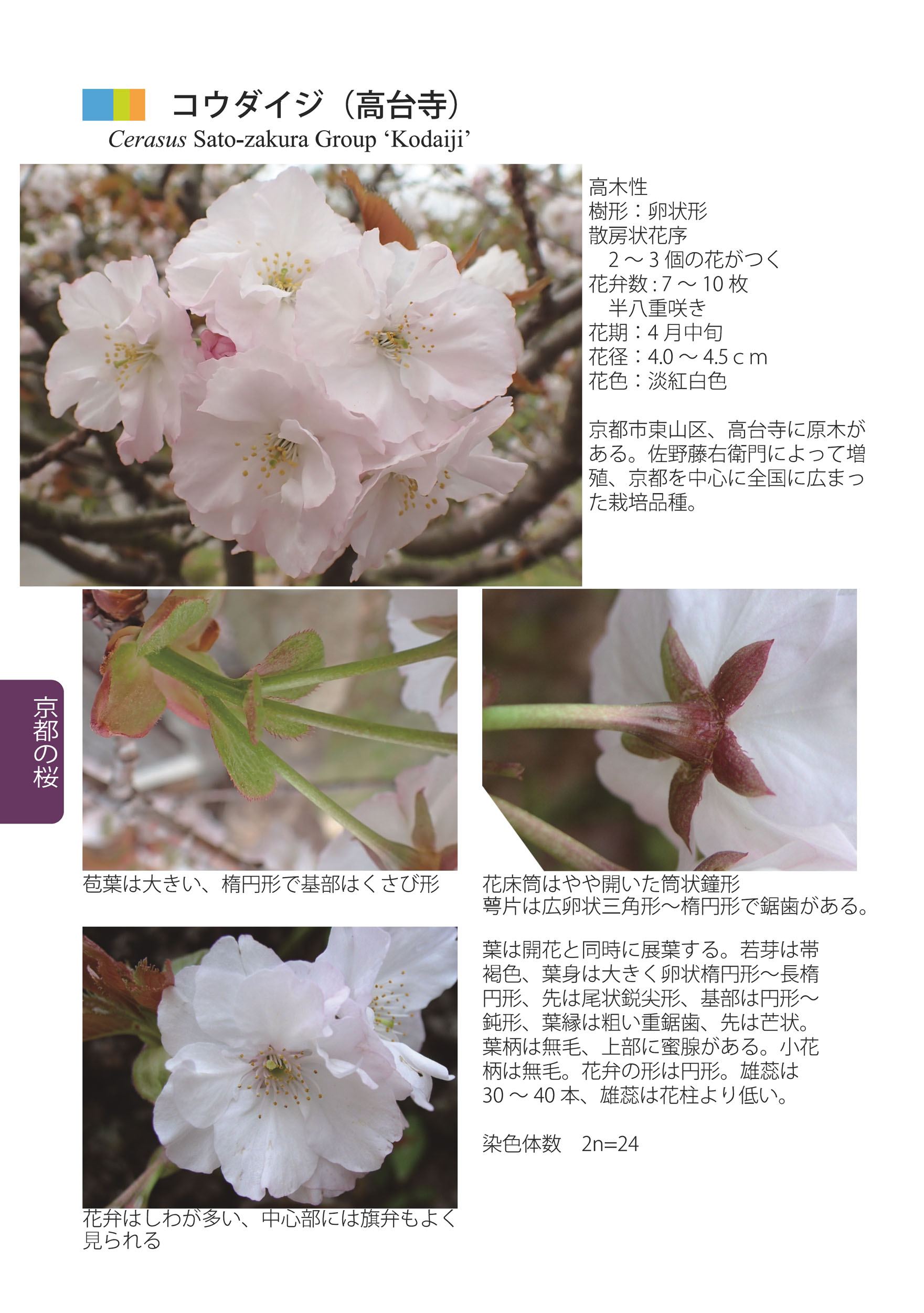 サムネイル画像5