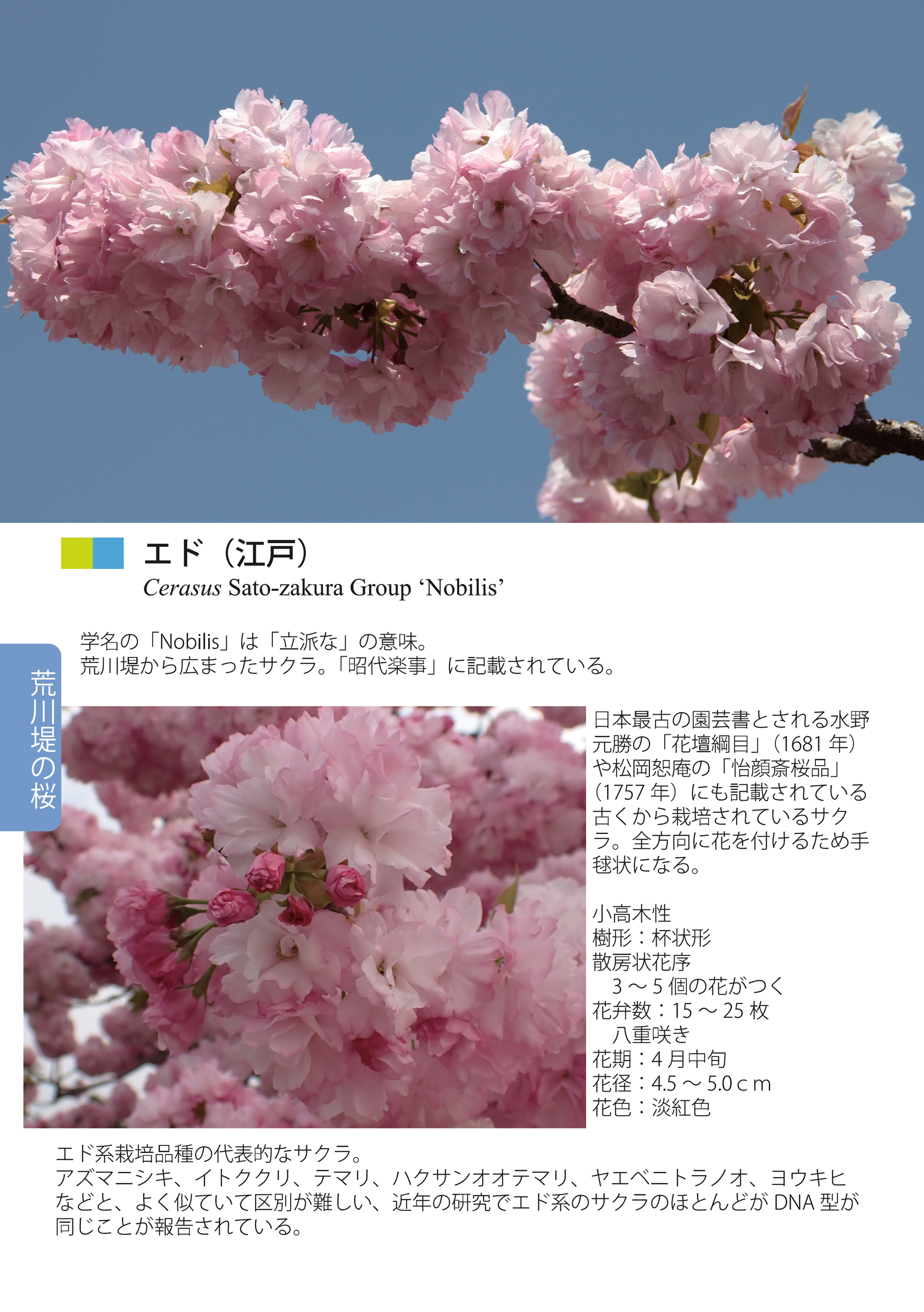 サムネイル画像4