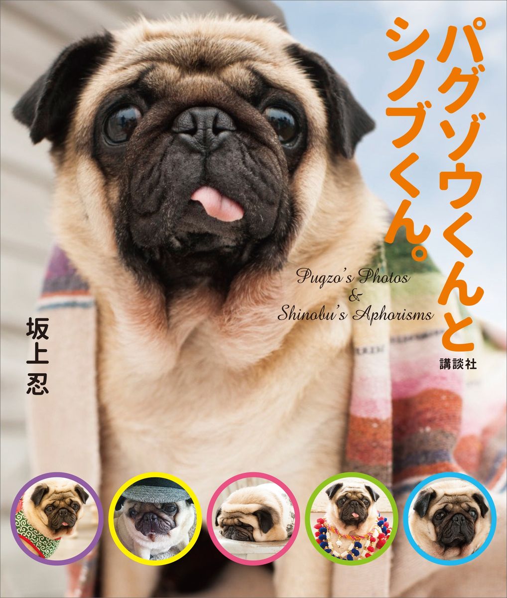 メイン画像