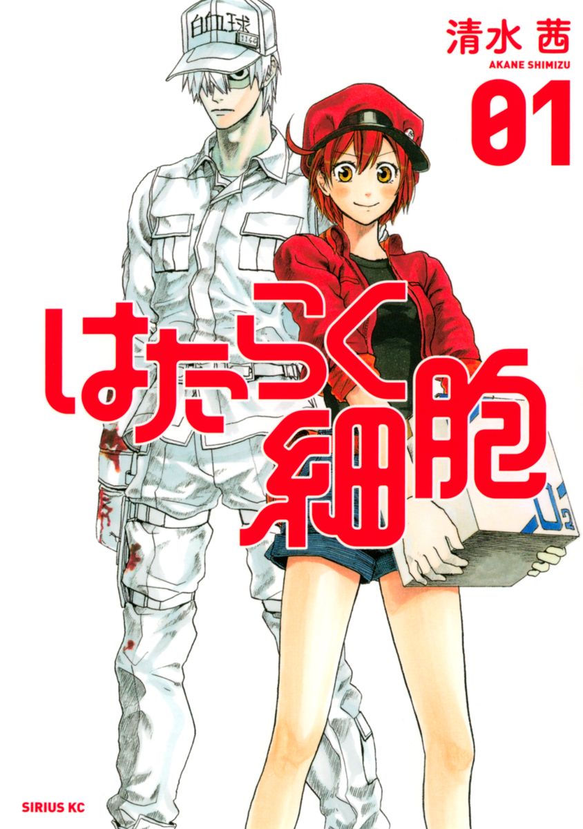 メイン画像