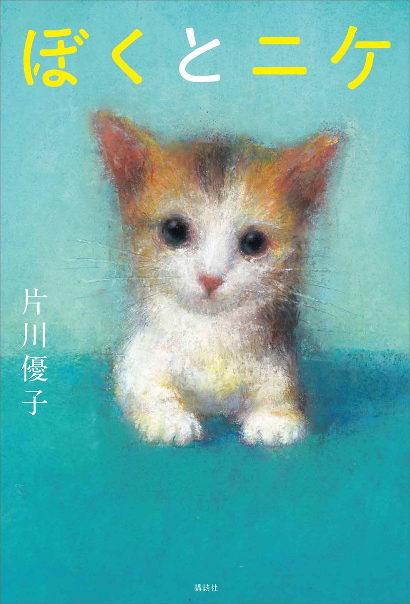 メイン画像