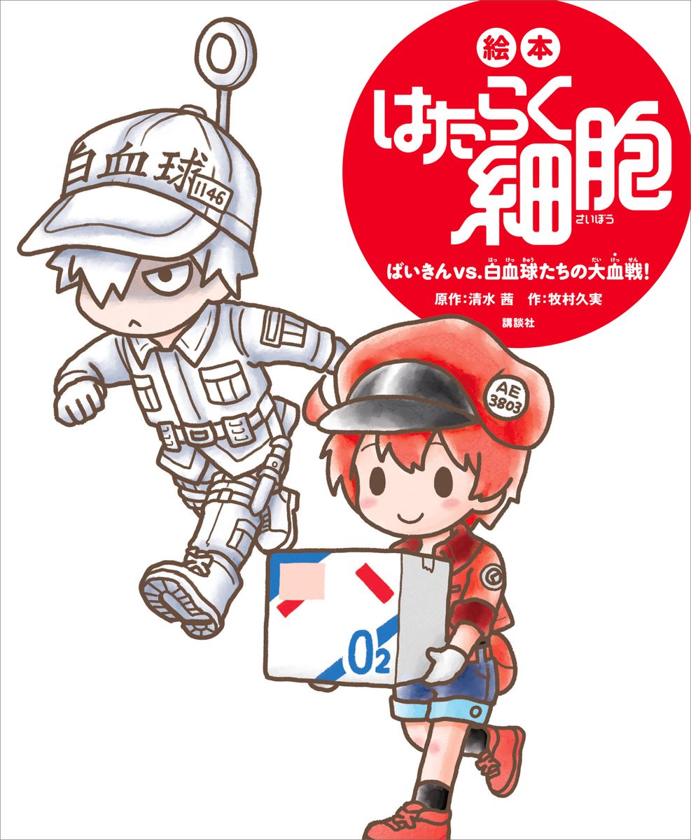 メイン画像