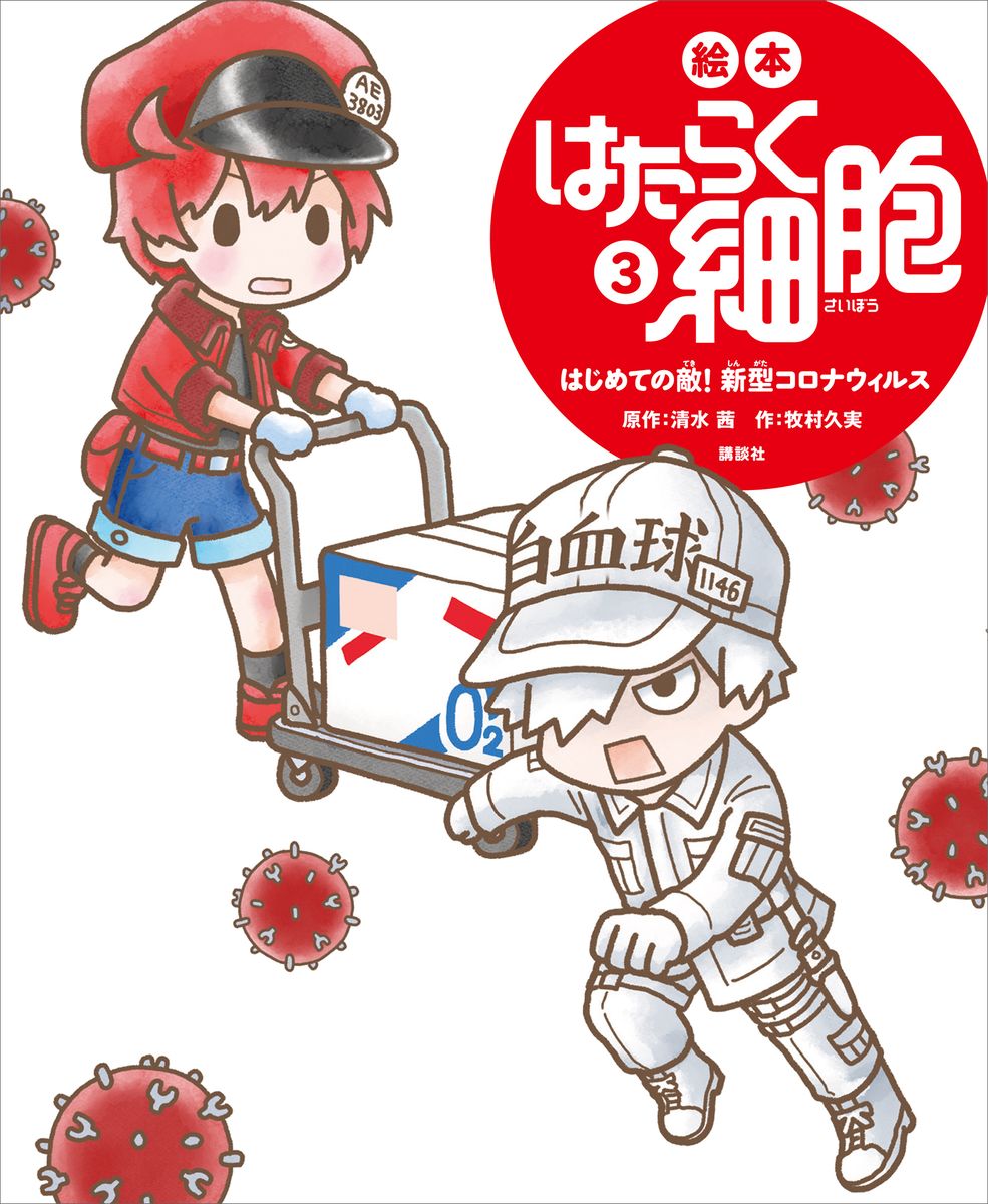 メイン画像