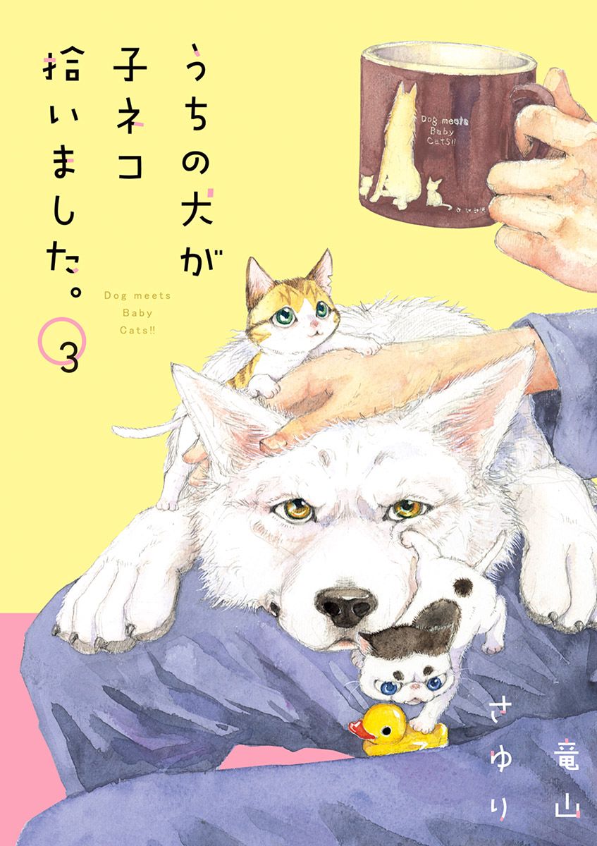 メイン画像