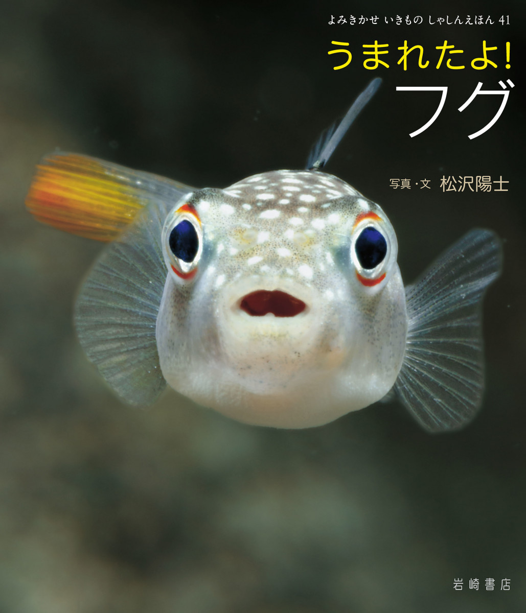 メイン画像