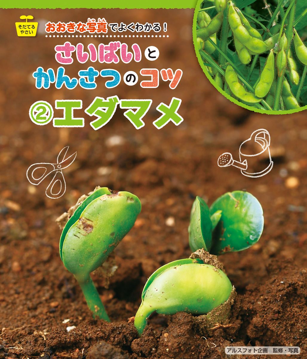 メイン画像