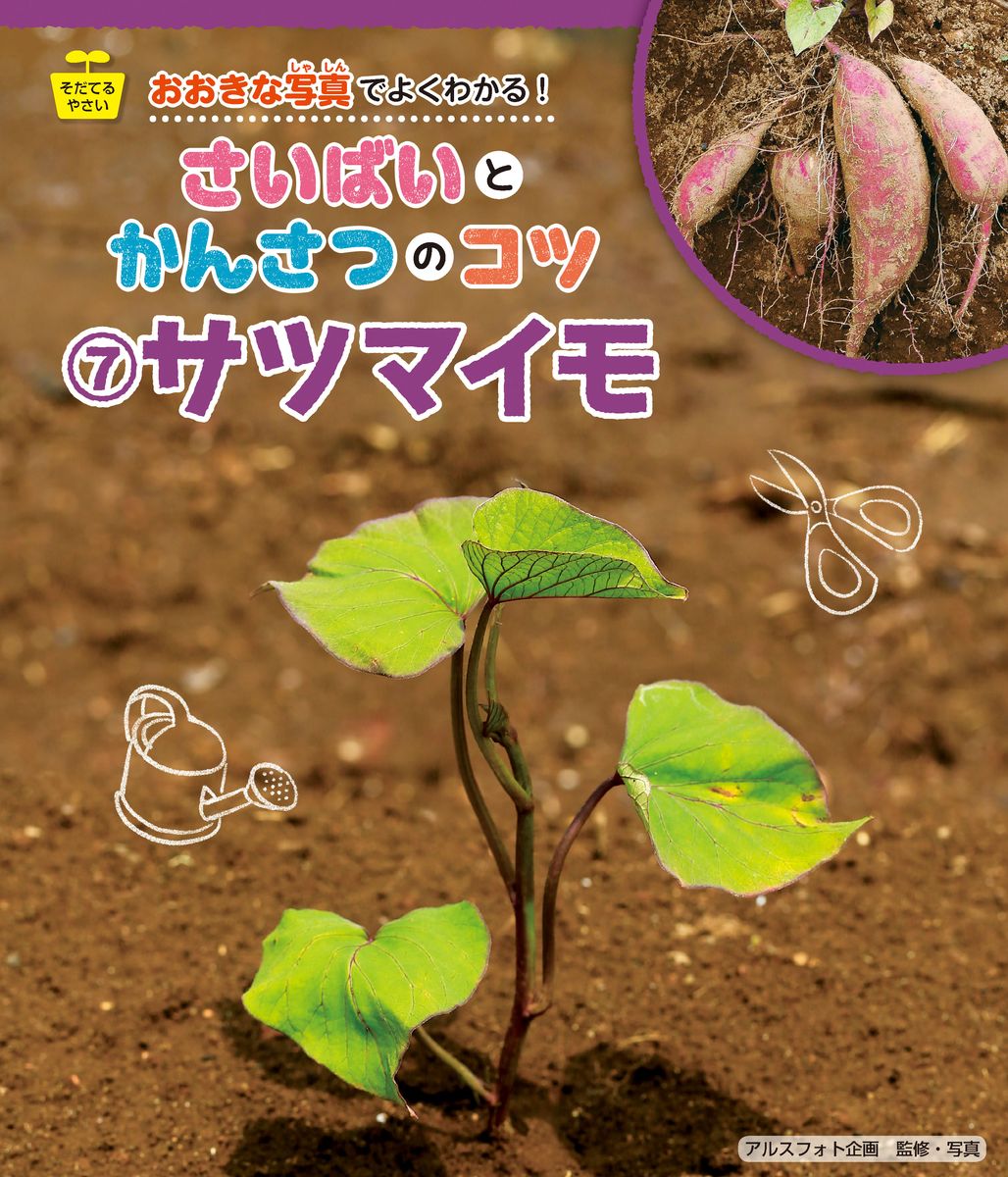 メイン画像