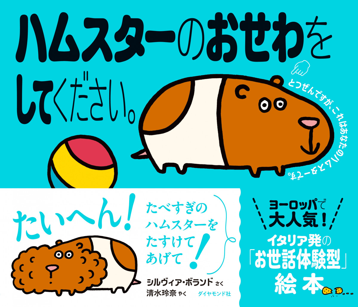 メイン画像