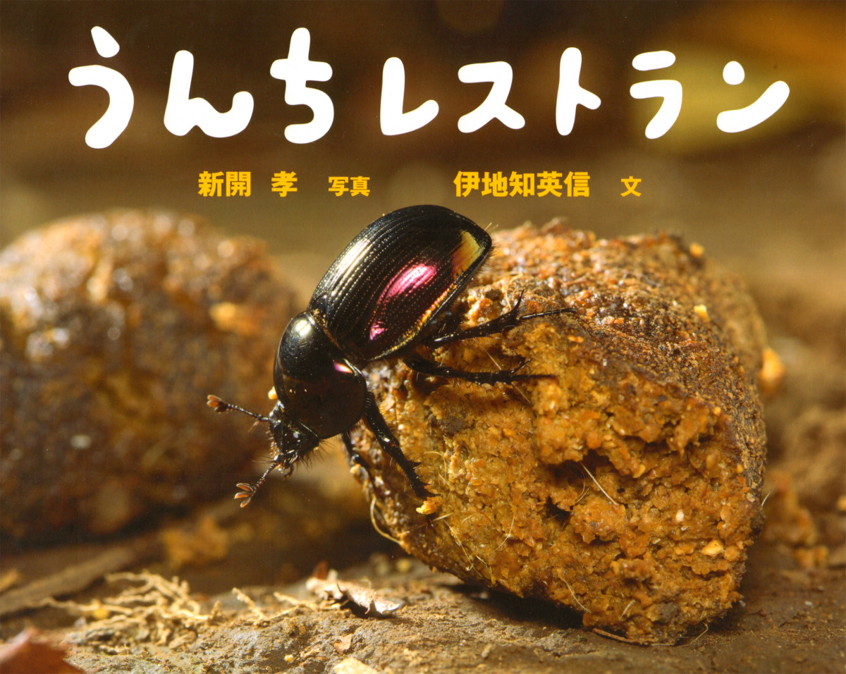 メイン画像